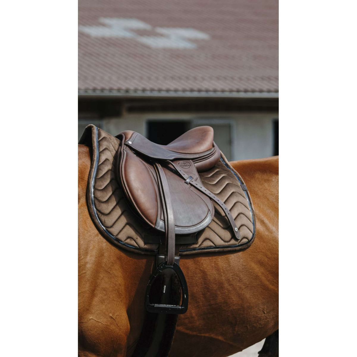 EQUITHÈME Saddlepad Glossy Jumping Brown