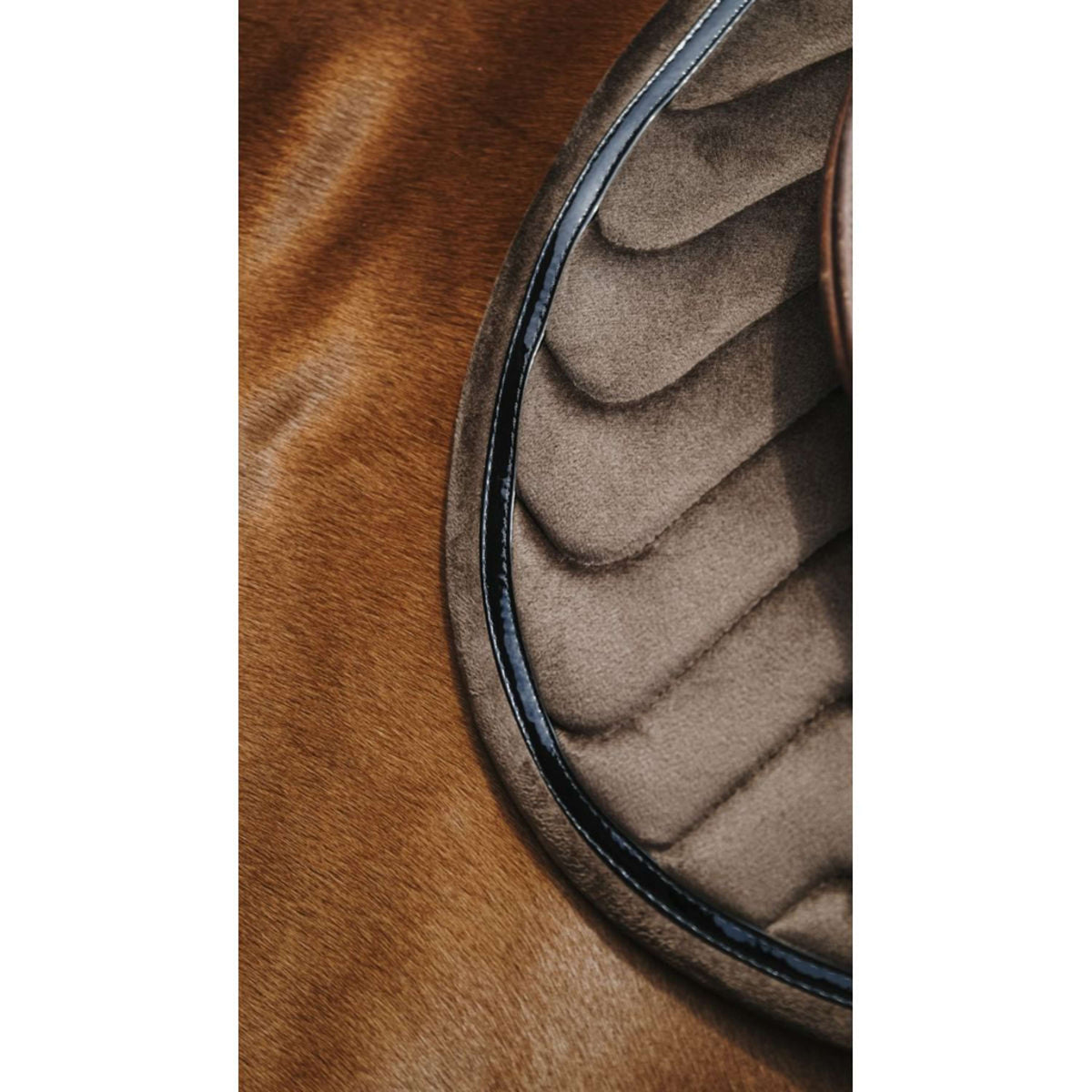 EQUITHÈME Saddlepad Glossy Jumping Brown