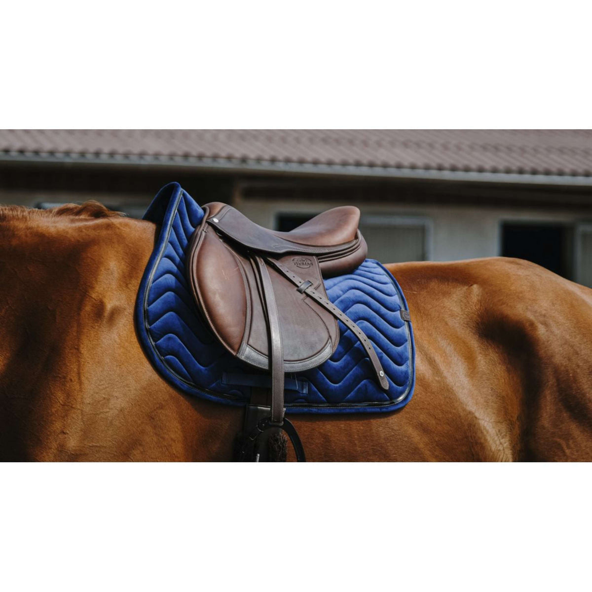 EQUITHÈME Saddlepad Glossy Jumping Navy