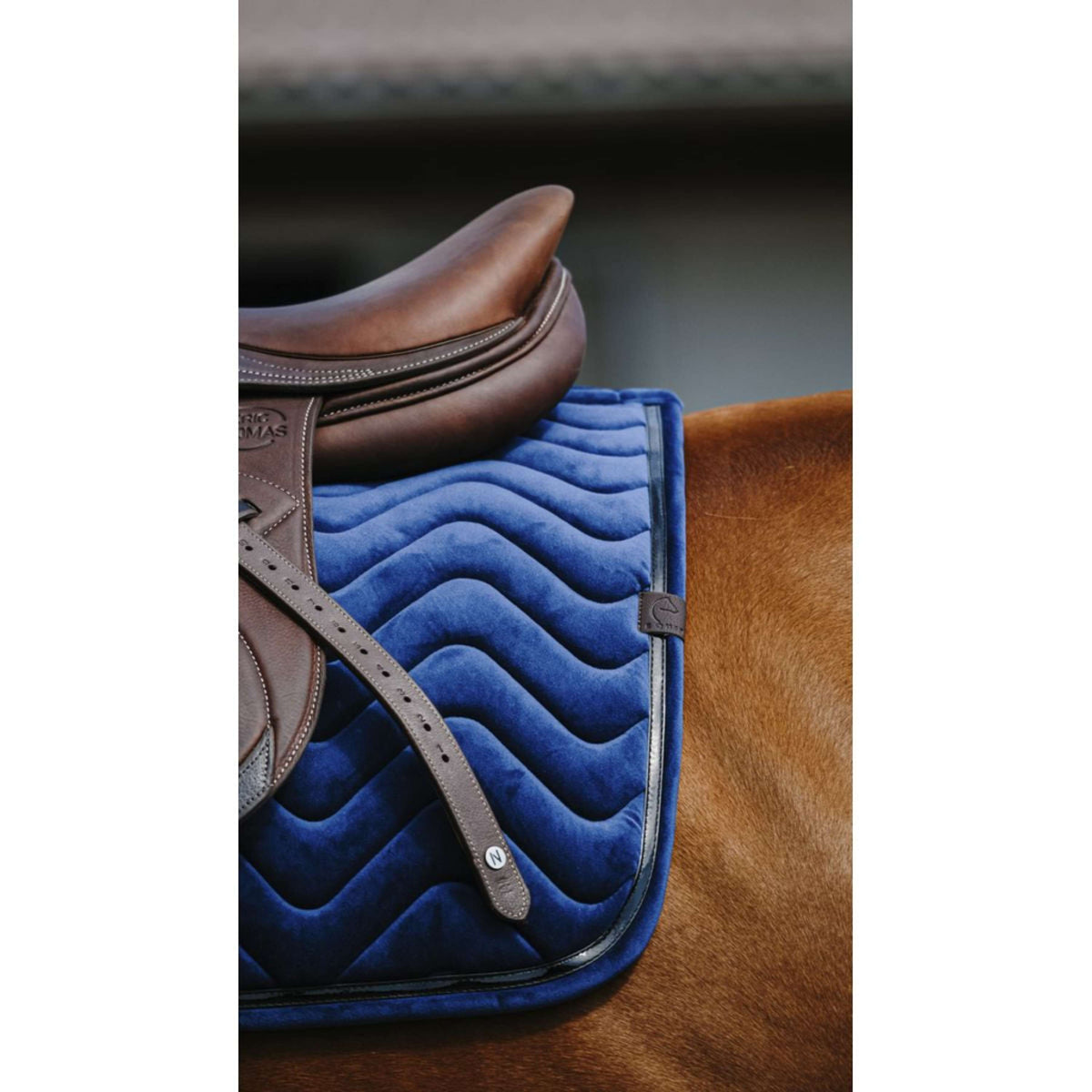 EQUITHÈME Saddlepad Glossy Jumping Navy