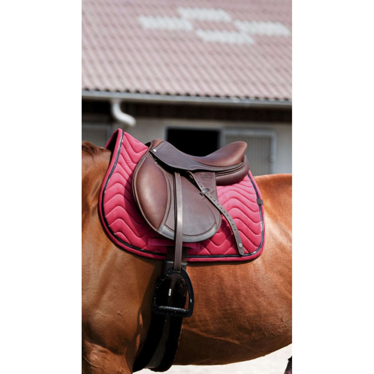 EQUITHÈME Saddlepad Glossy Jumping Raspberry