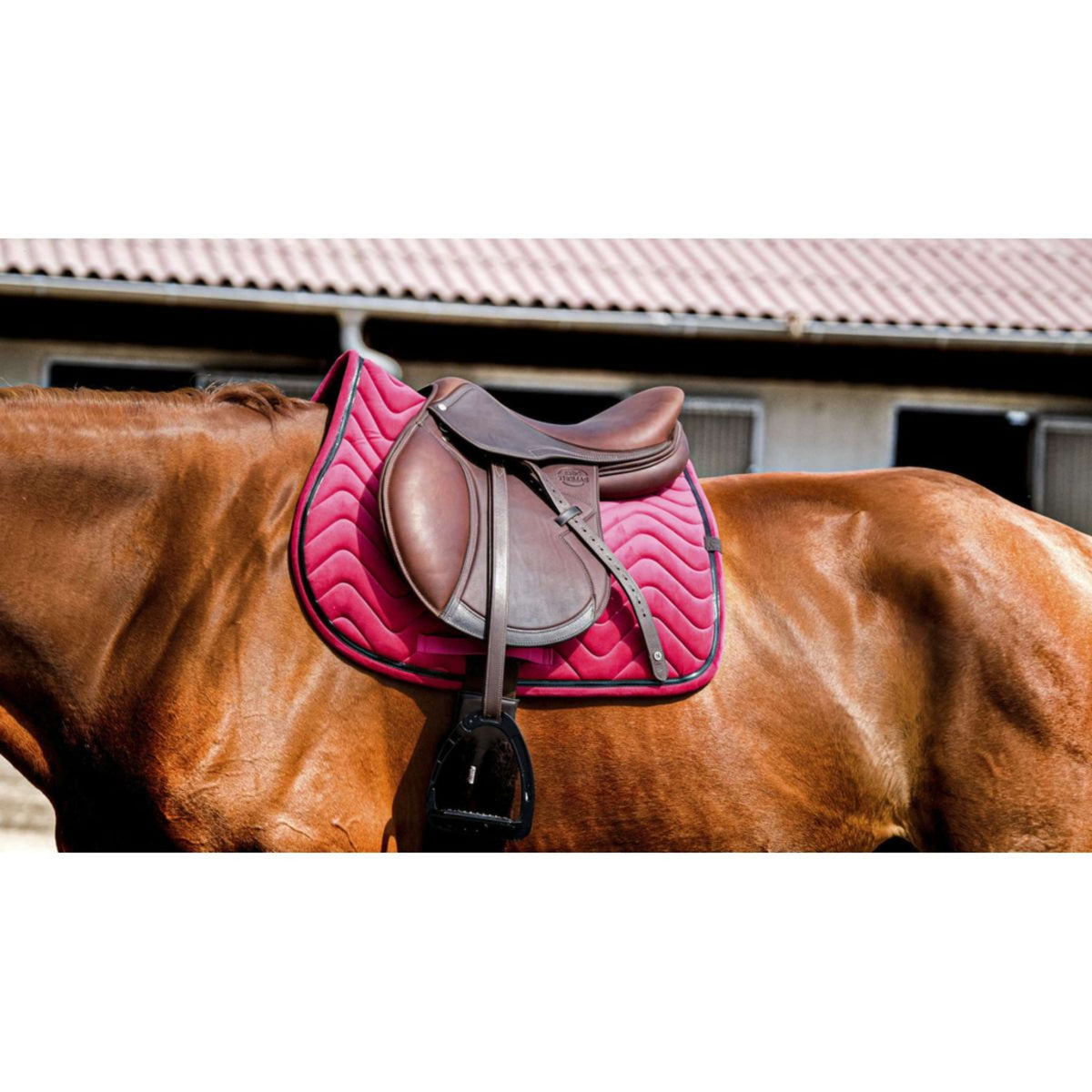 EQUITHÈME Saddlepad Glossy Jumping Raspberry