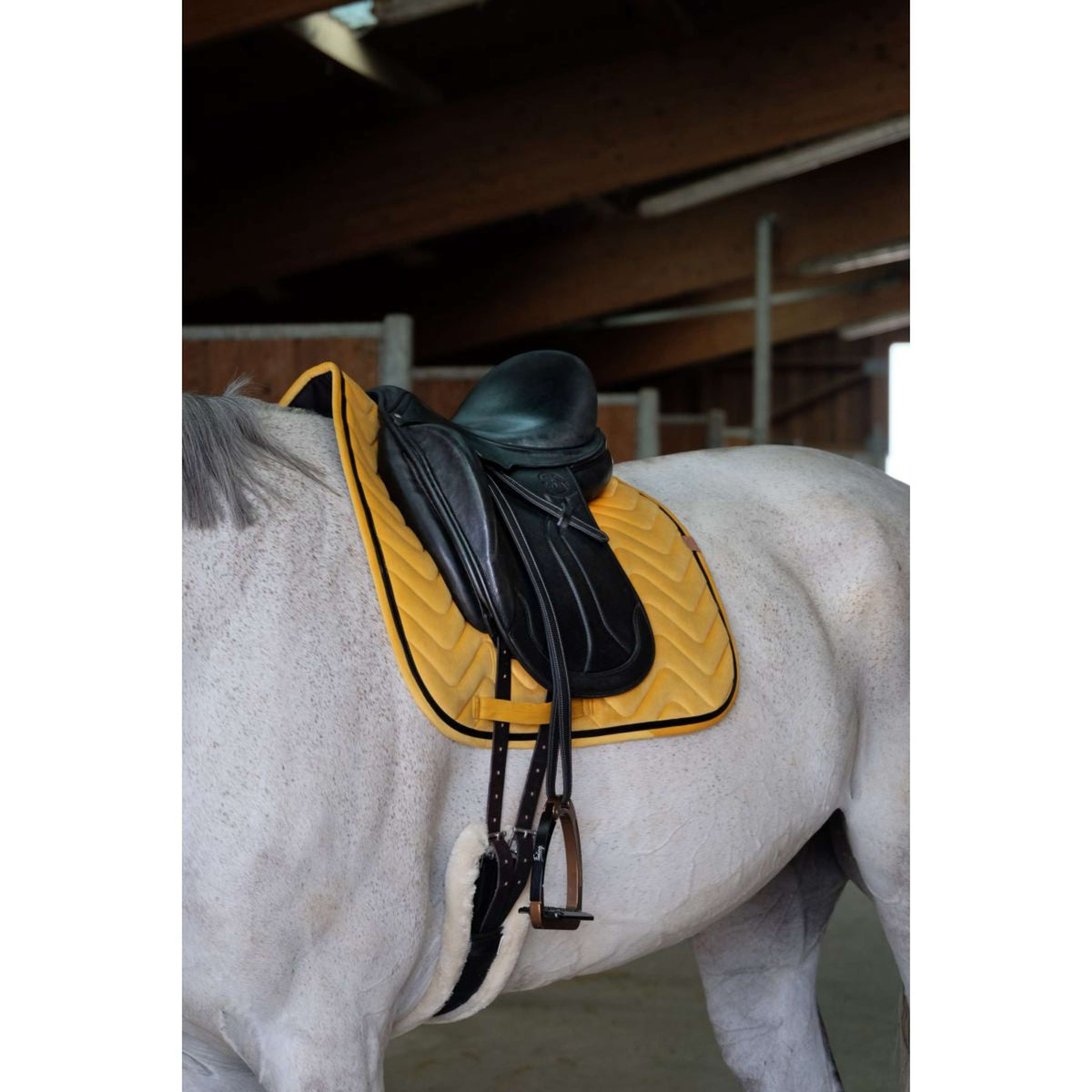 EQUITHÈME Saddlepad Glossy Dressage Yellow