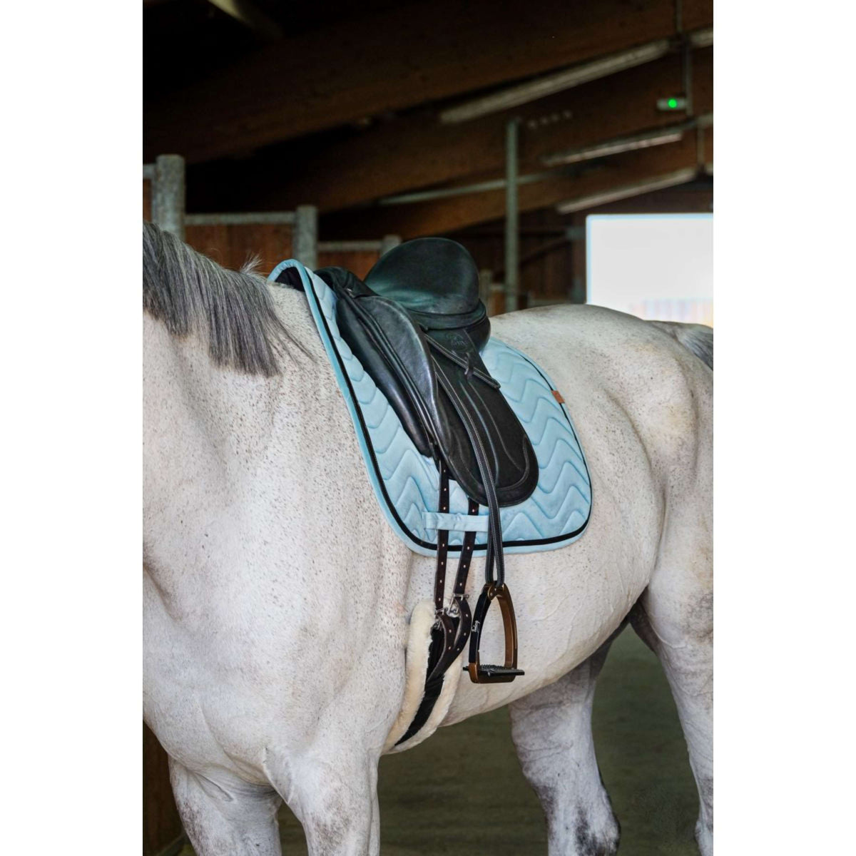 EQUITHÈME Saddlepad Glossy Dressage Lightgreen