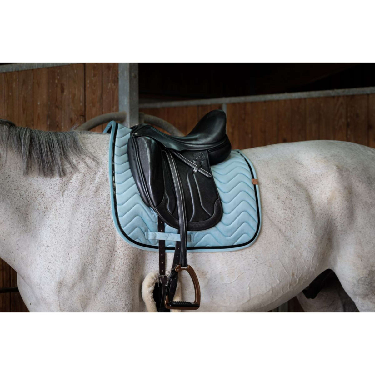 EQUITHÈME Saddlepad Glossy Dressage Lightgreen