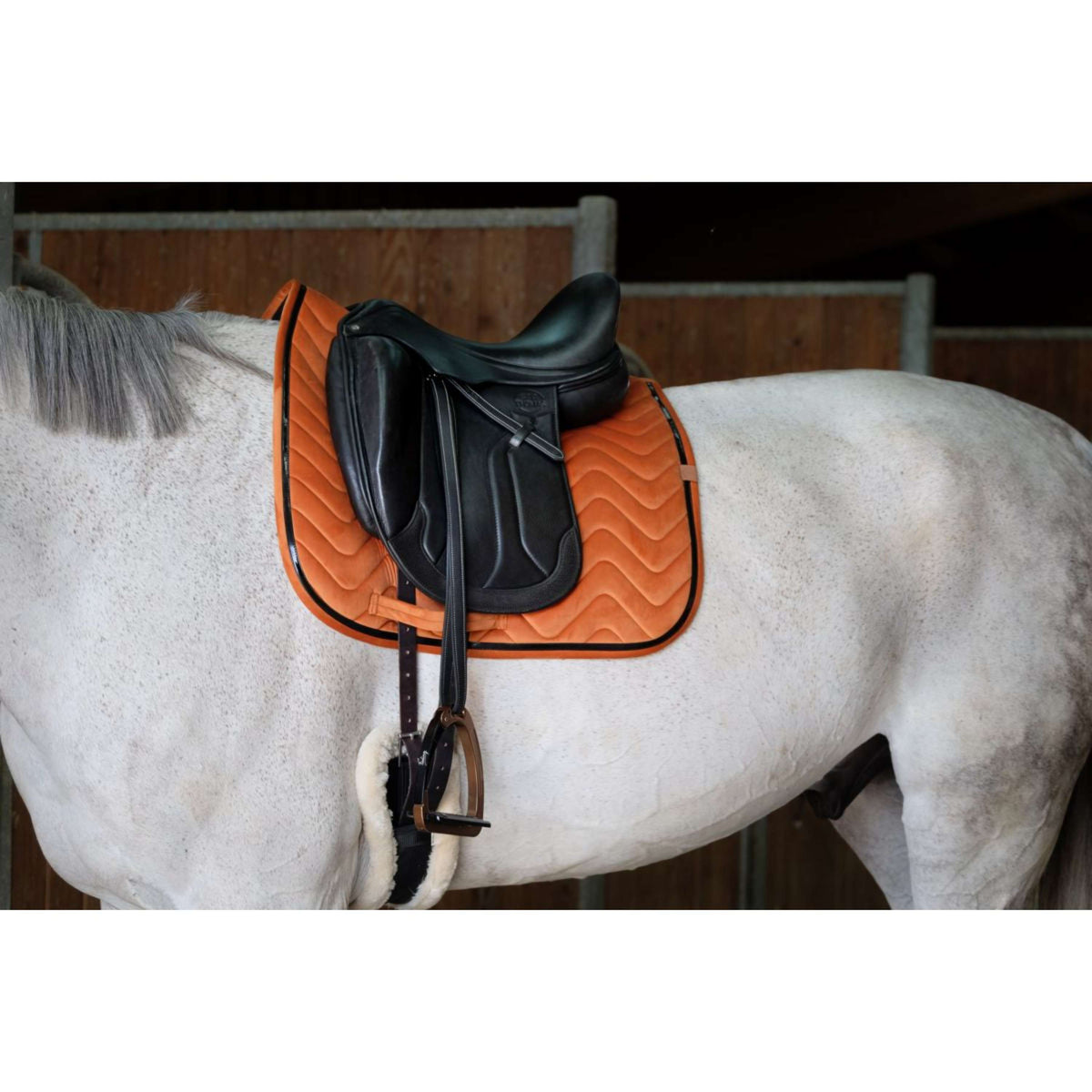 EQUITHÈME Saddlepad Glossy Dressage Orange