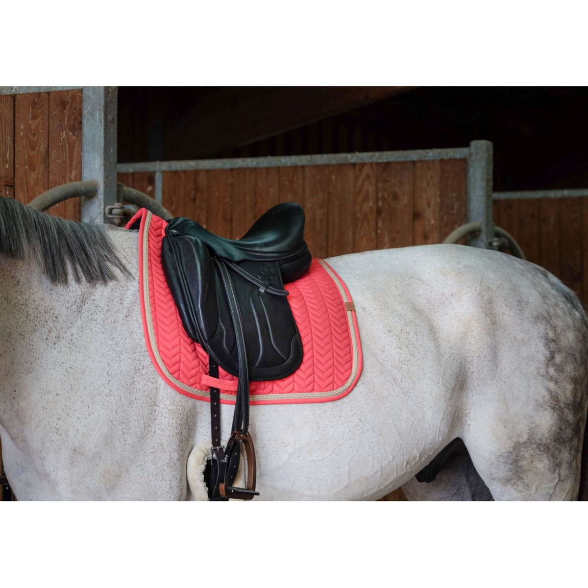 EQUITHÈME Saddlepad Softy Dressage Raspberry