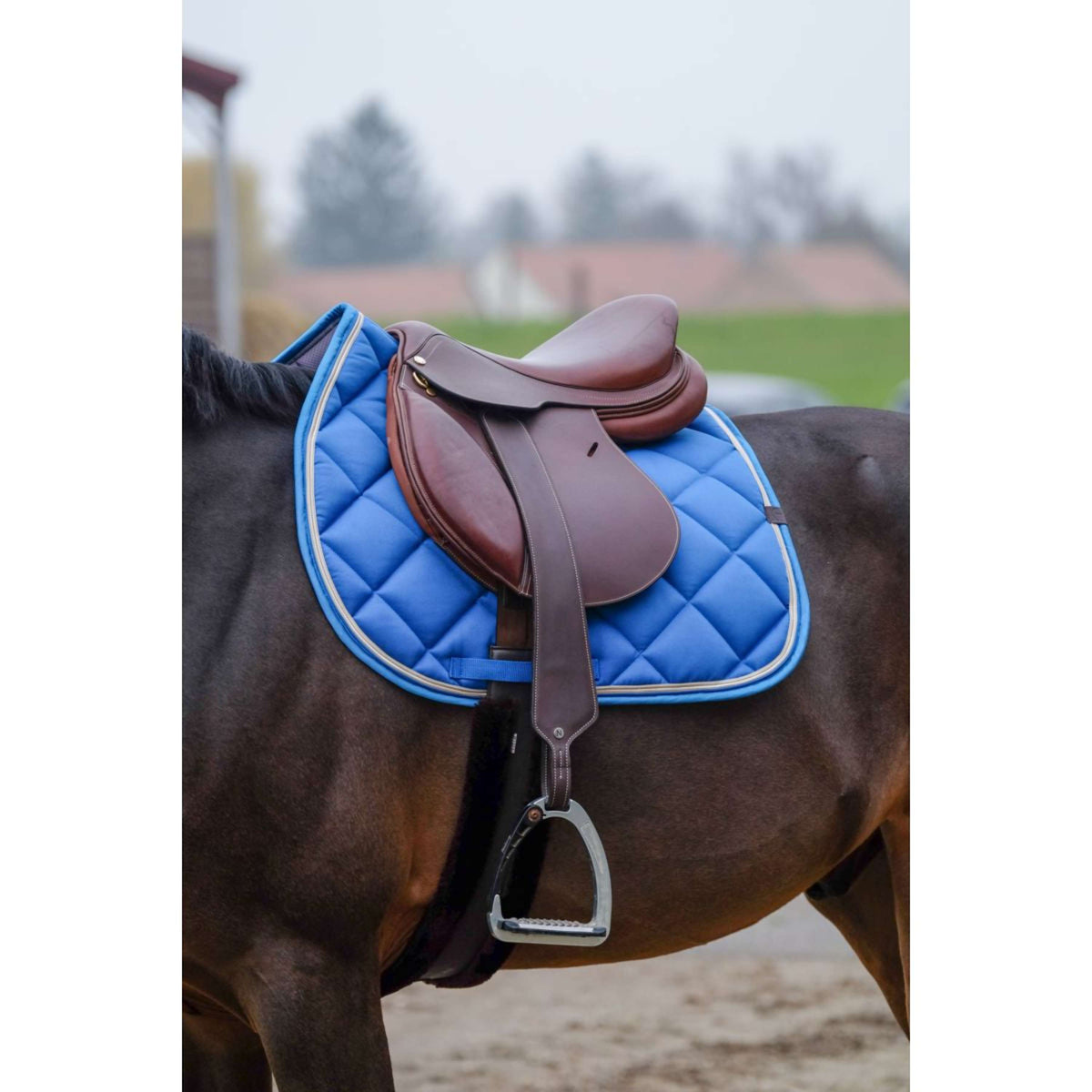 EQUITHÈME Saddlepad Classic Jumping Royal Blue