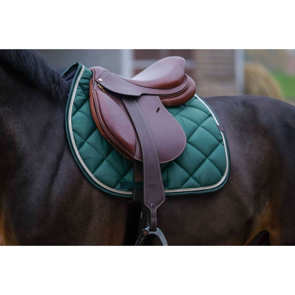 EQUITHÈME Saddlepad Classic Jumping Dark Green