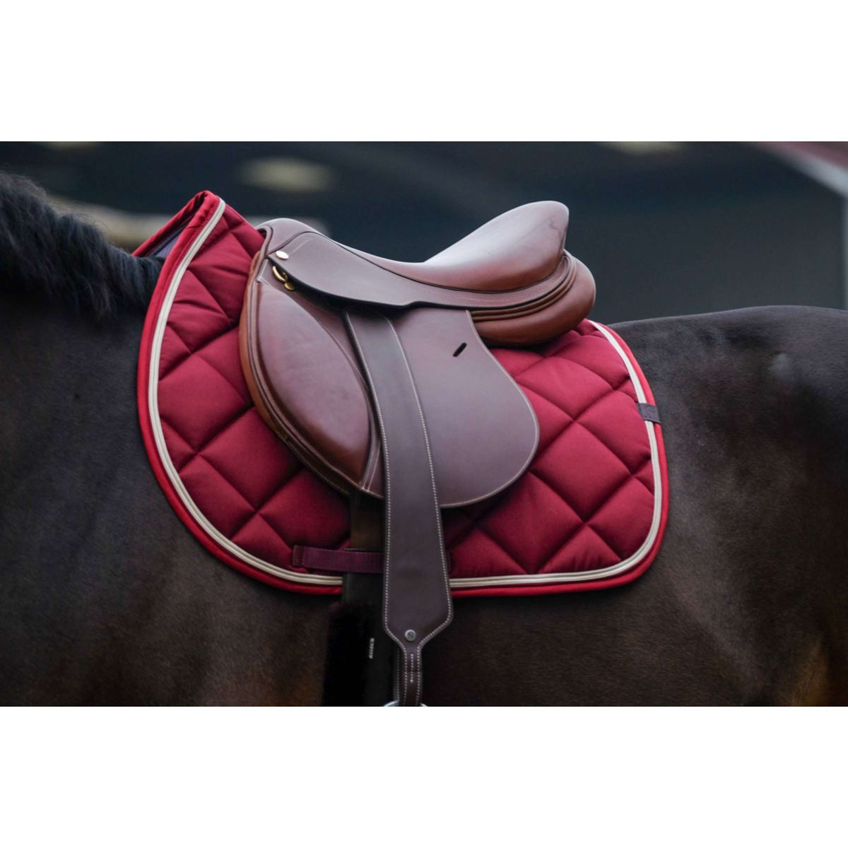 EQUITHÈME Saddlepad Classic Jumping Burgundy