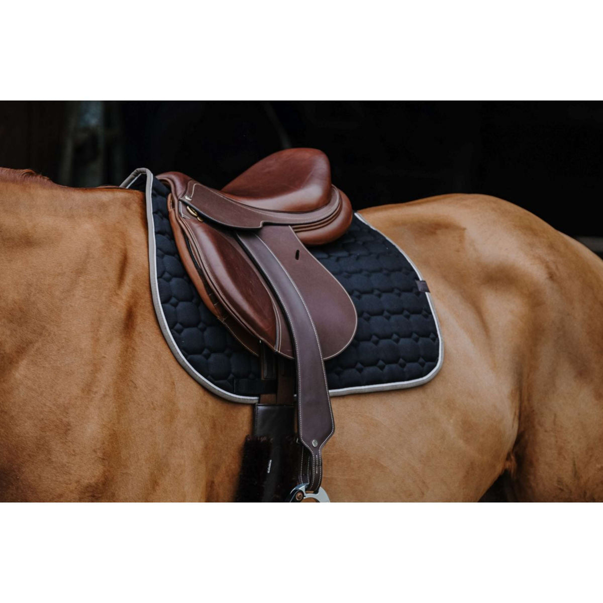 EQUITHÈME Saddlepad Orion Black