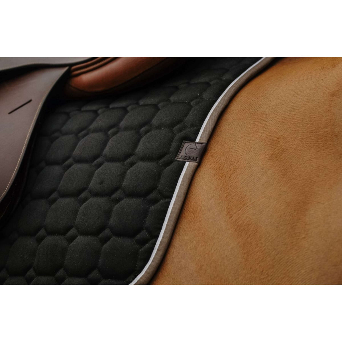 EQUITHÈME Saddlepad Orion Black