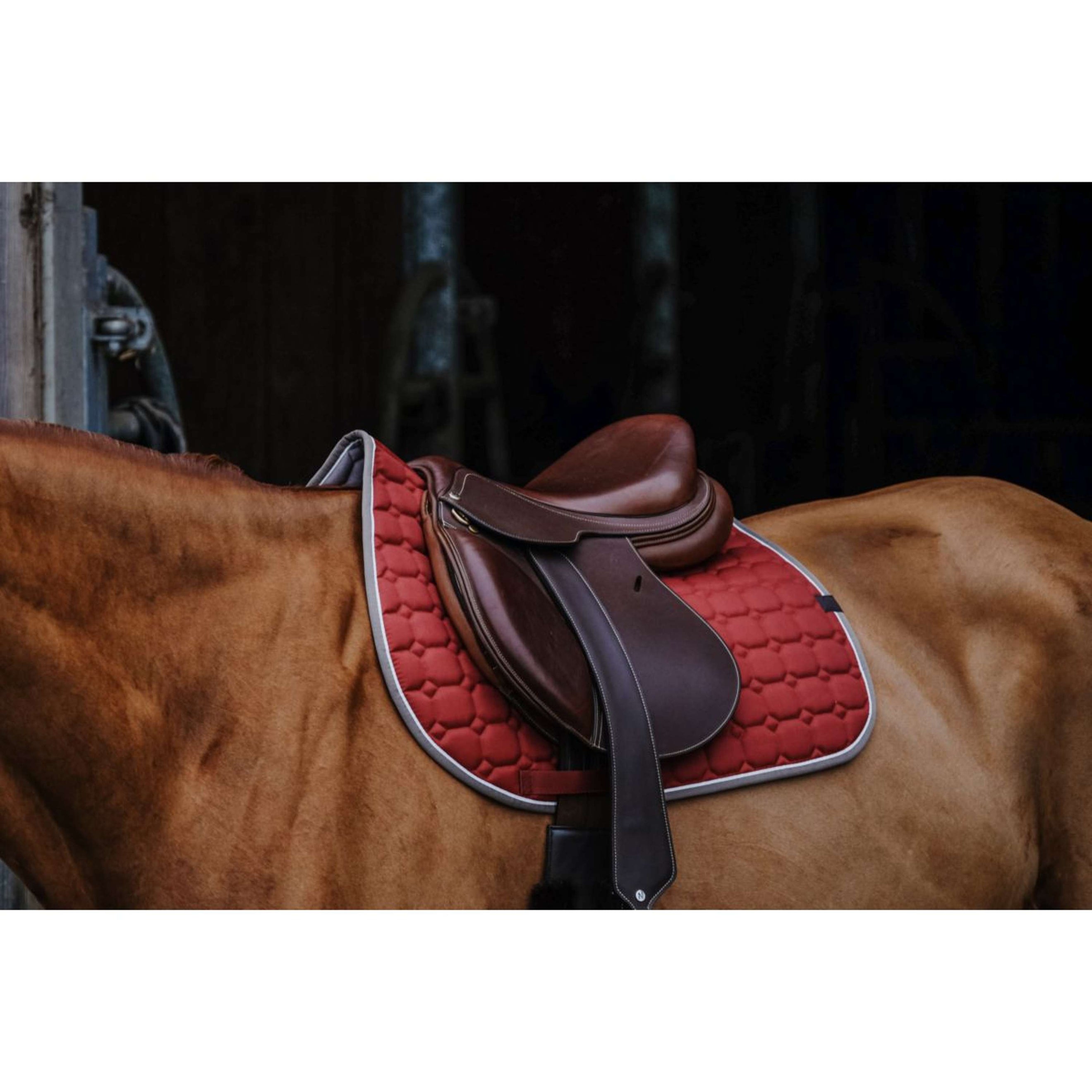 EQUITHÈME Saddlepad Orion Cherry