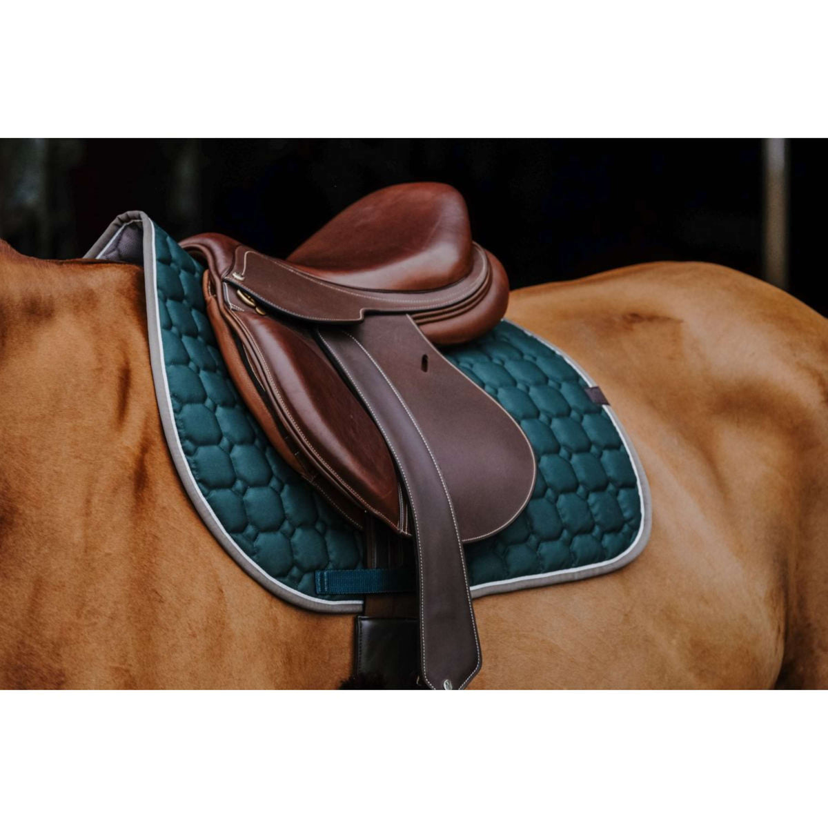 EQUITHÈME Saddlepad Orion Dark Green