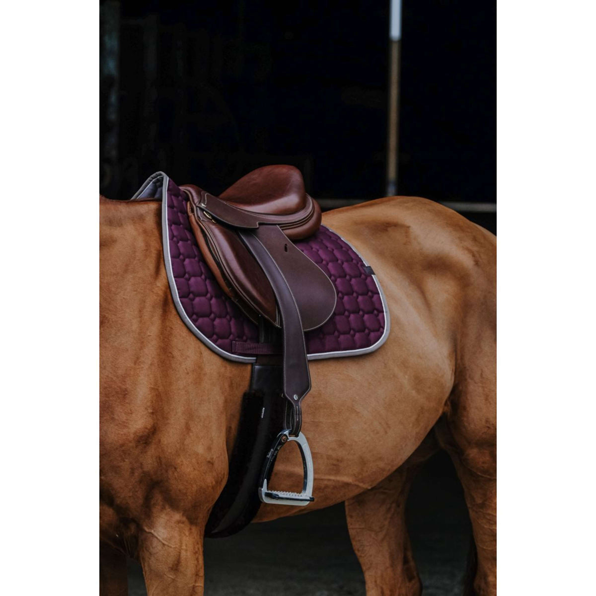 EQUITHÈME Saddlepad Orion