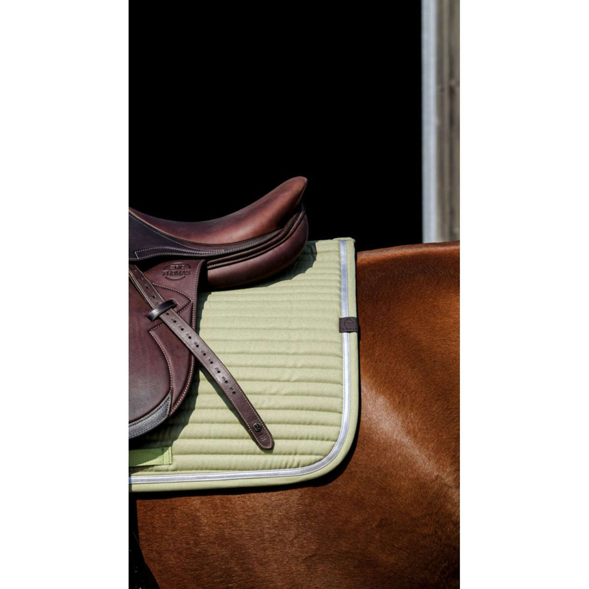 EQUITHÈME Saddlepad Spring Jumping Lightgreen