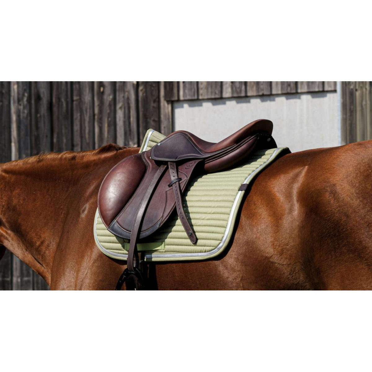 EQUITHÈME Saddlepad Spring Jumping Lightgreen