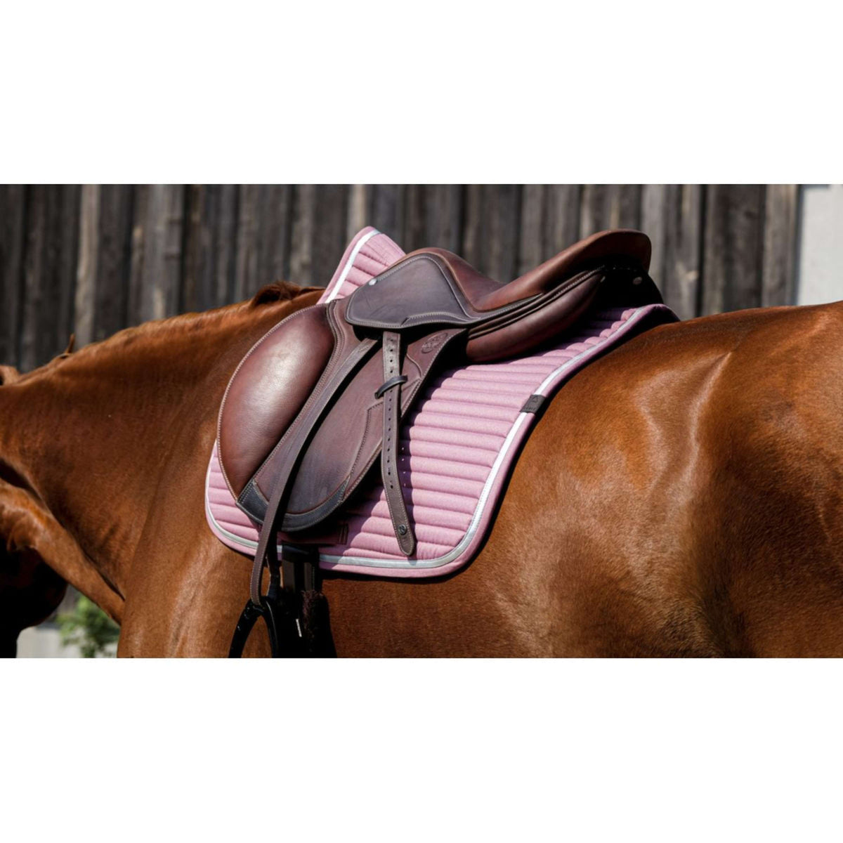 EQUITHÈME Saddlepad Spring Jumping Pink