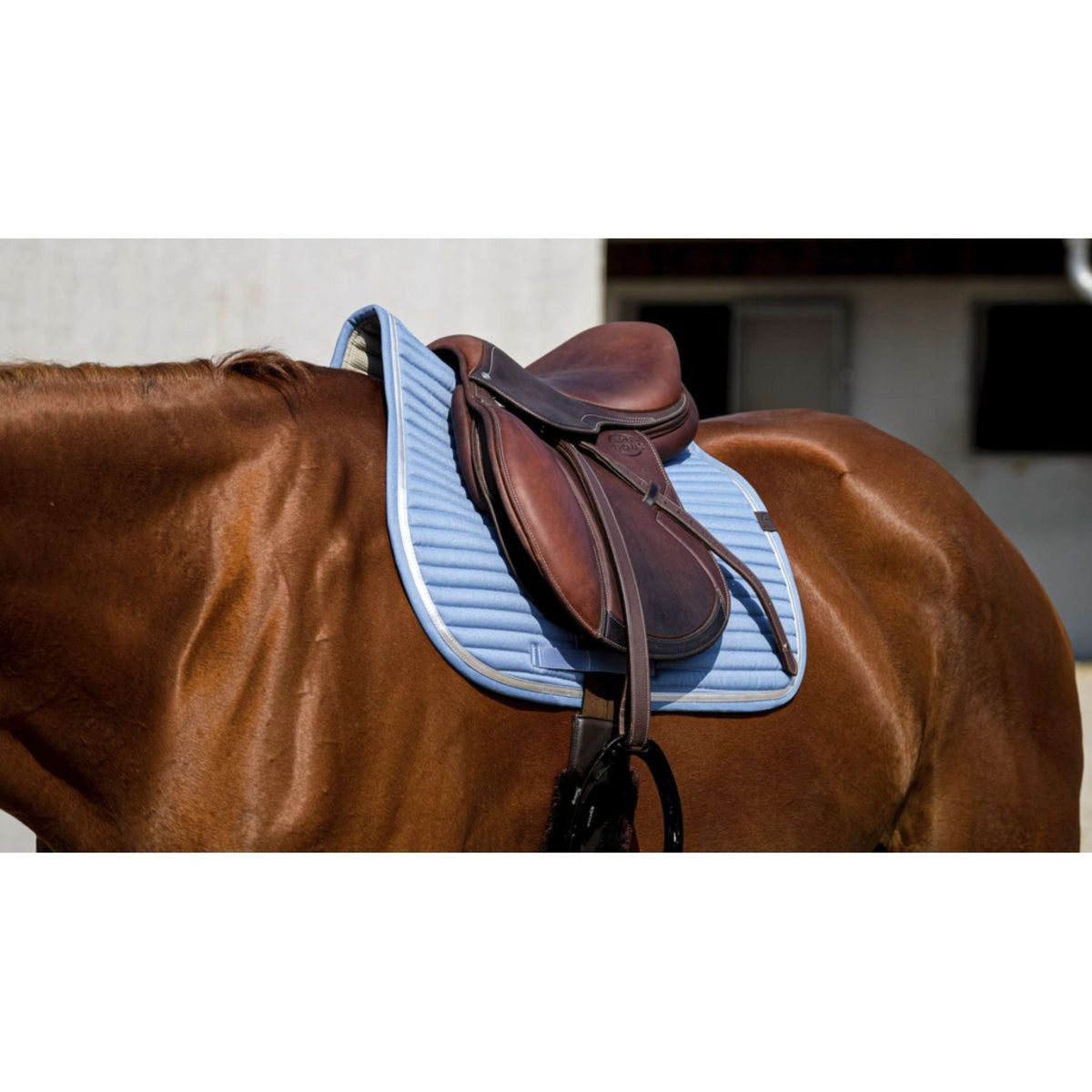 EQUITHÈME Saddlepad Spring Jumping Turquoise