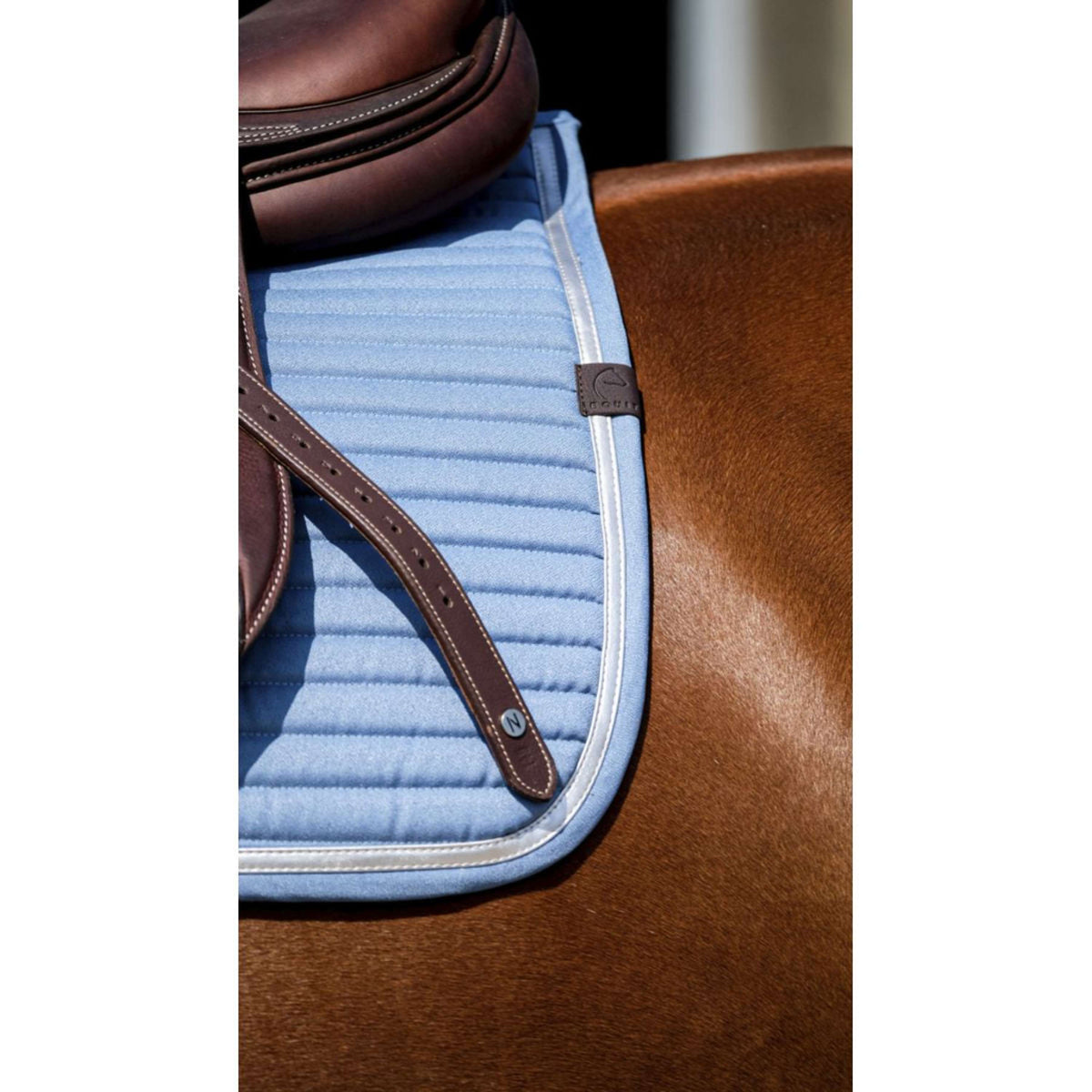 EQUITHÈME Saddlepad Spring Jumping Turquoise