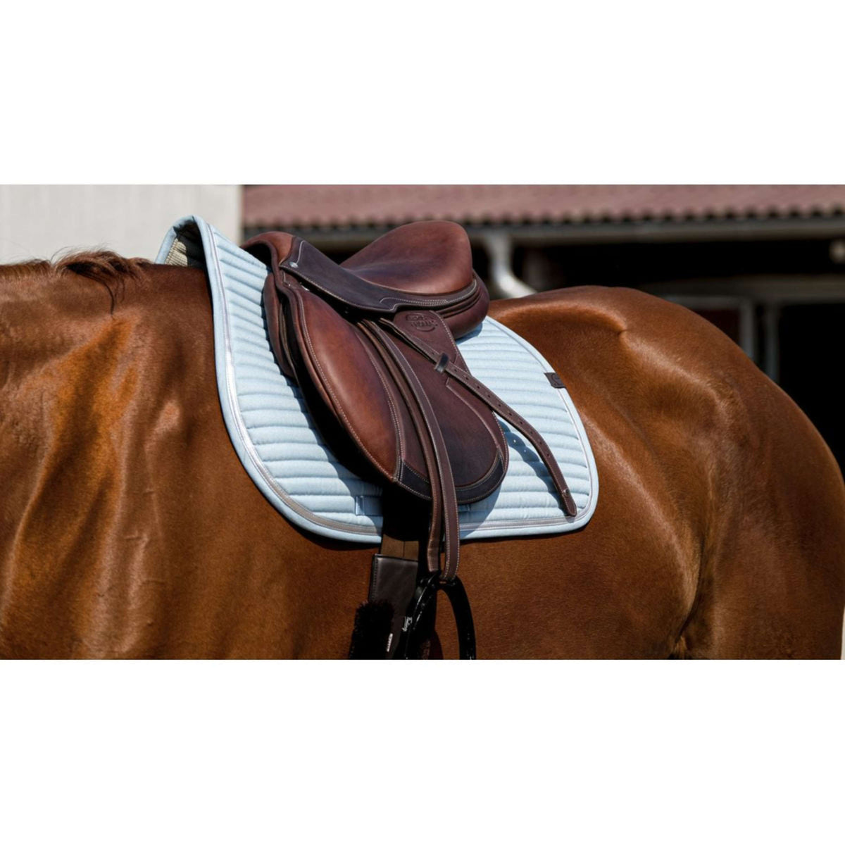 EQUITHÈME Saddlepad Spring Jumping Turquoise