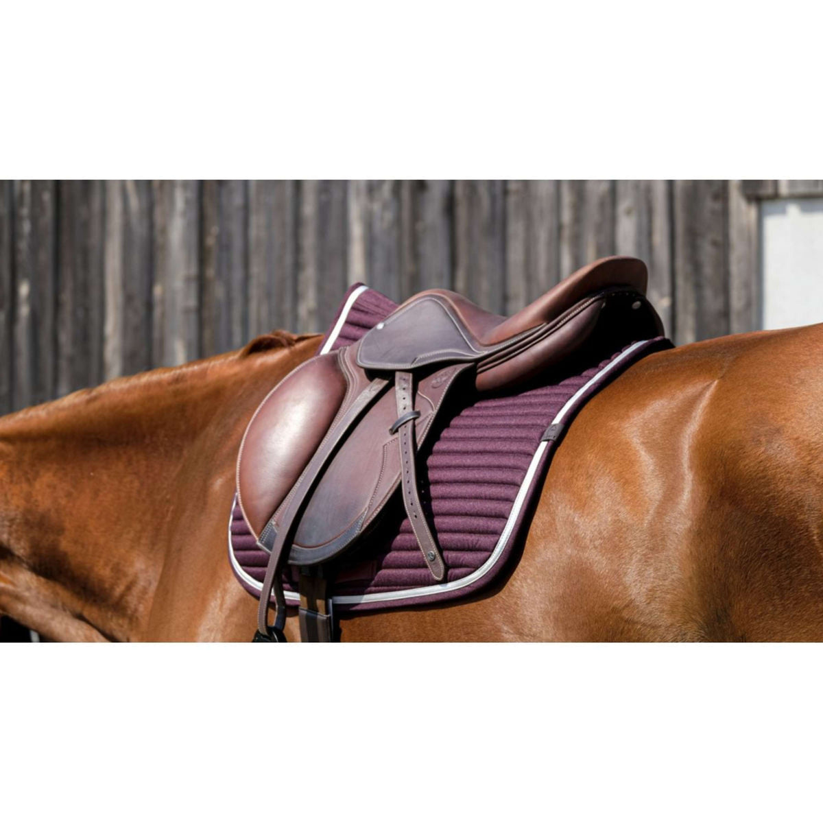 EQUITHÈME Saddlepad Spring Jumping Burgundy