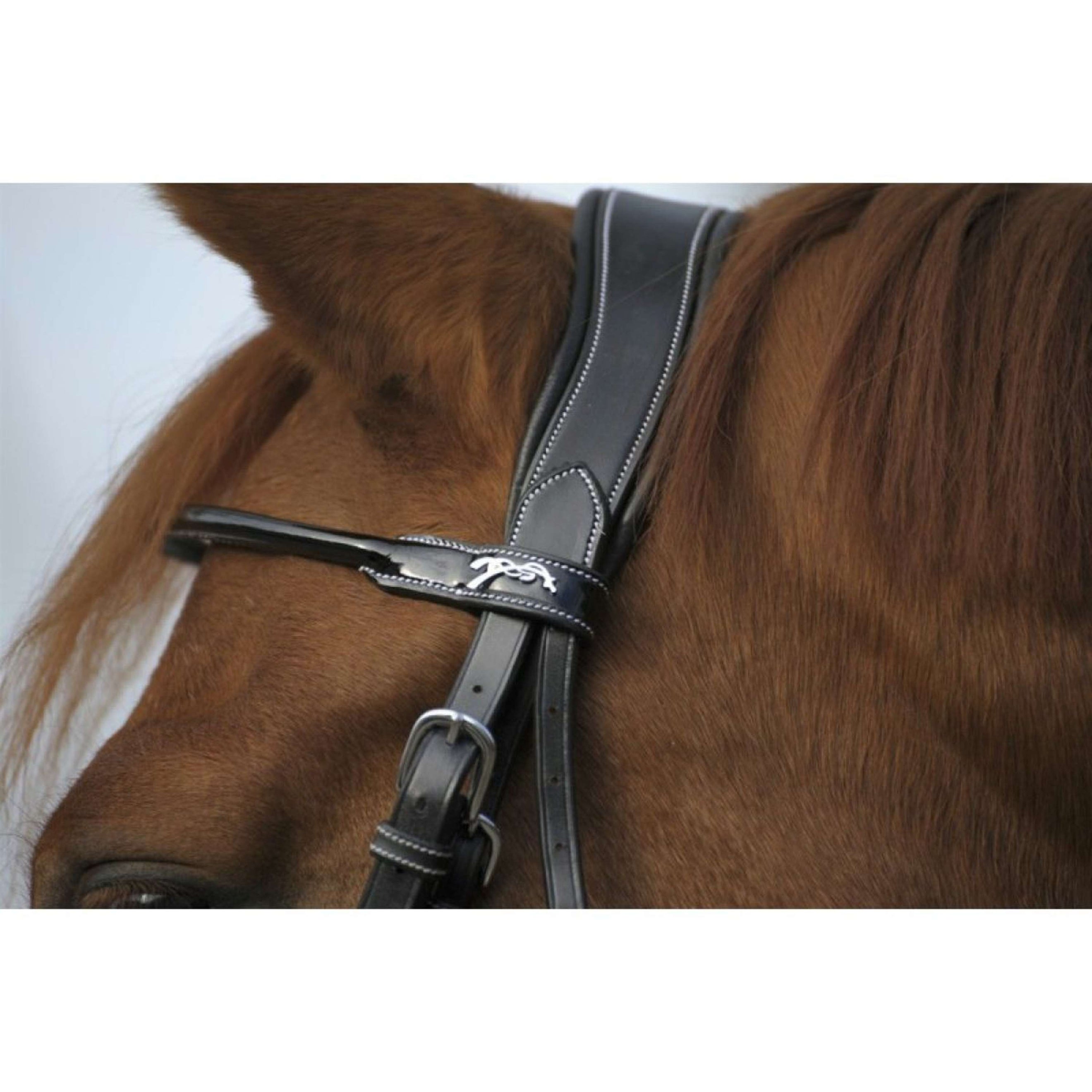 Pénélope Bridle Point Sellier Black