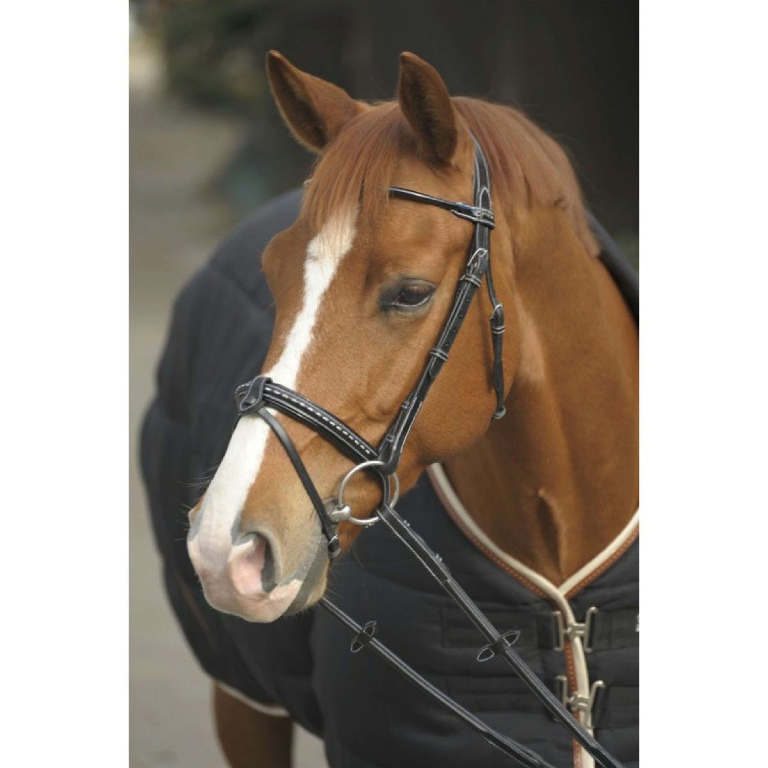 Pénélope Bridle Point Sellier Black