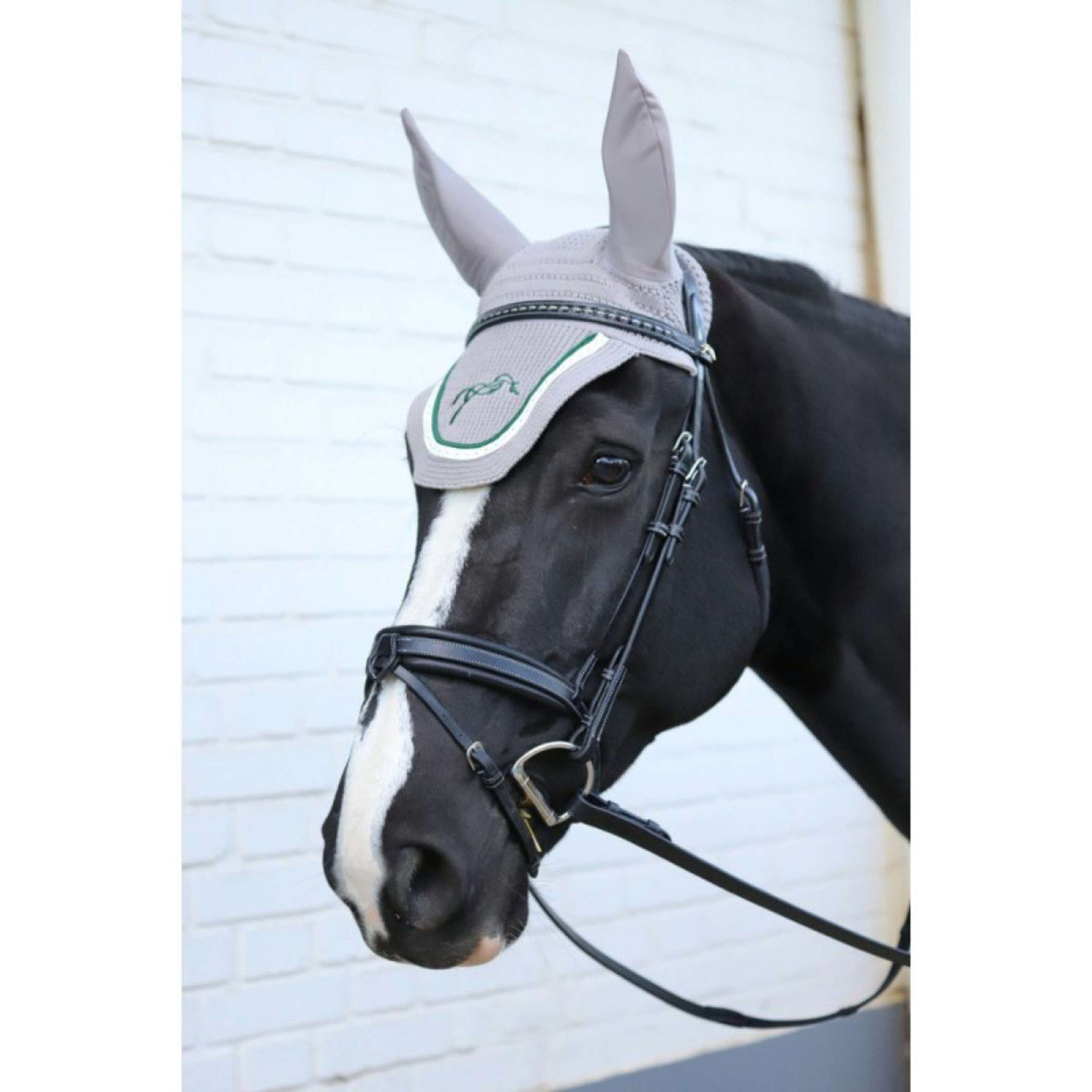 Pénélope Bridle Daily Black