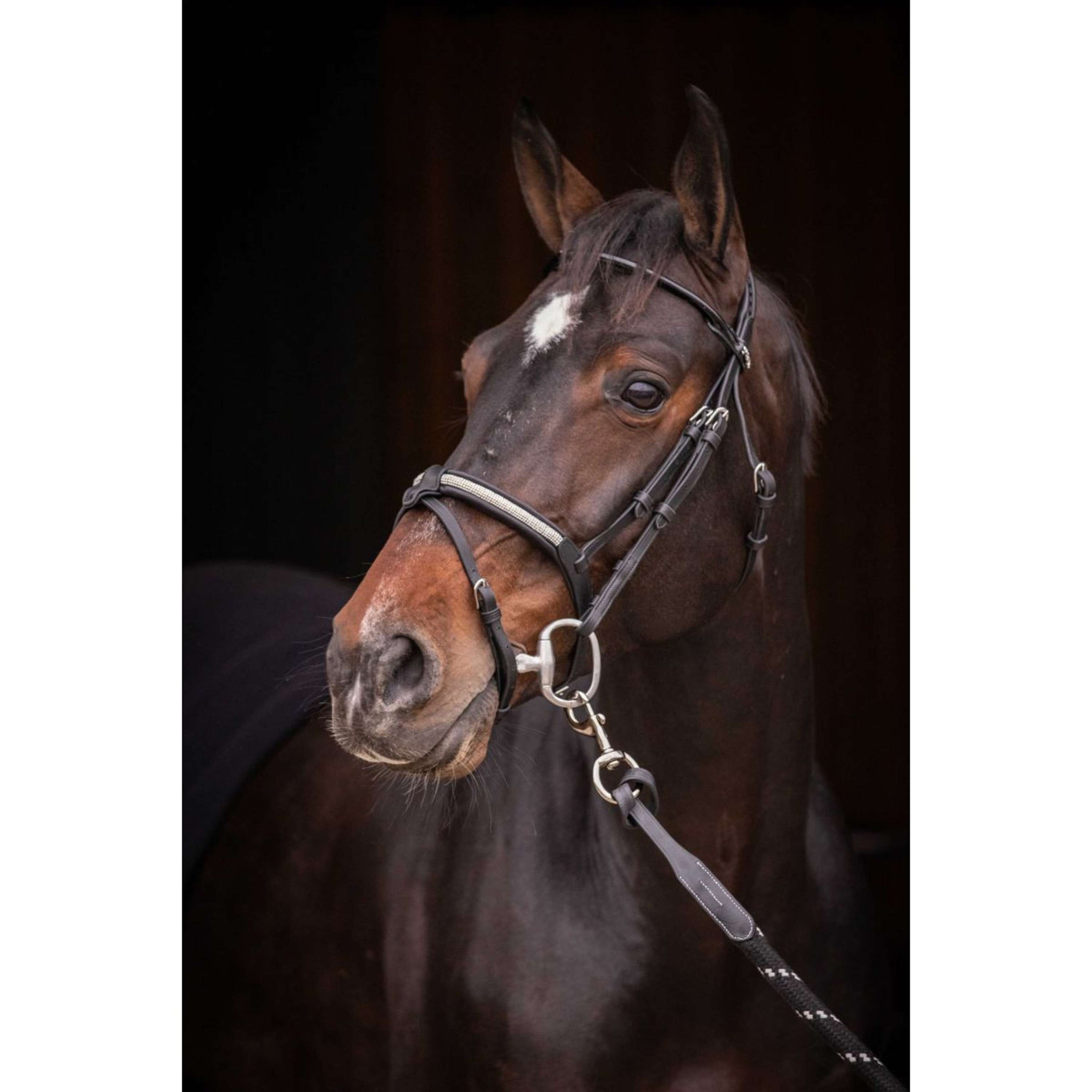 Pénélope Bridle Symphonie Black