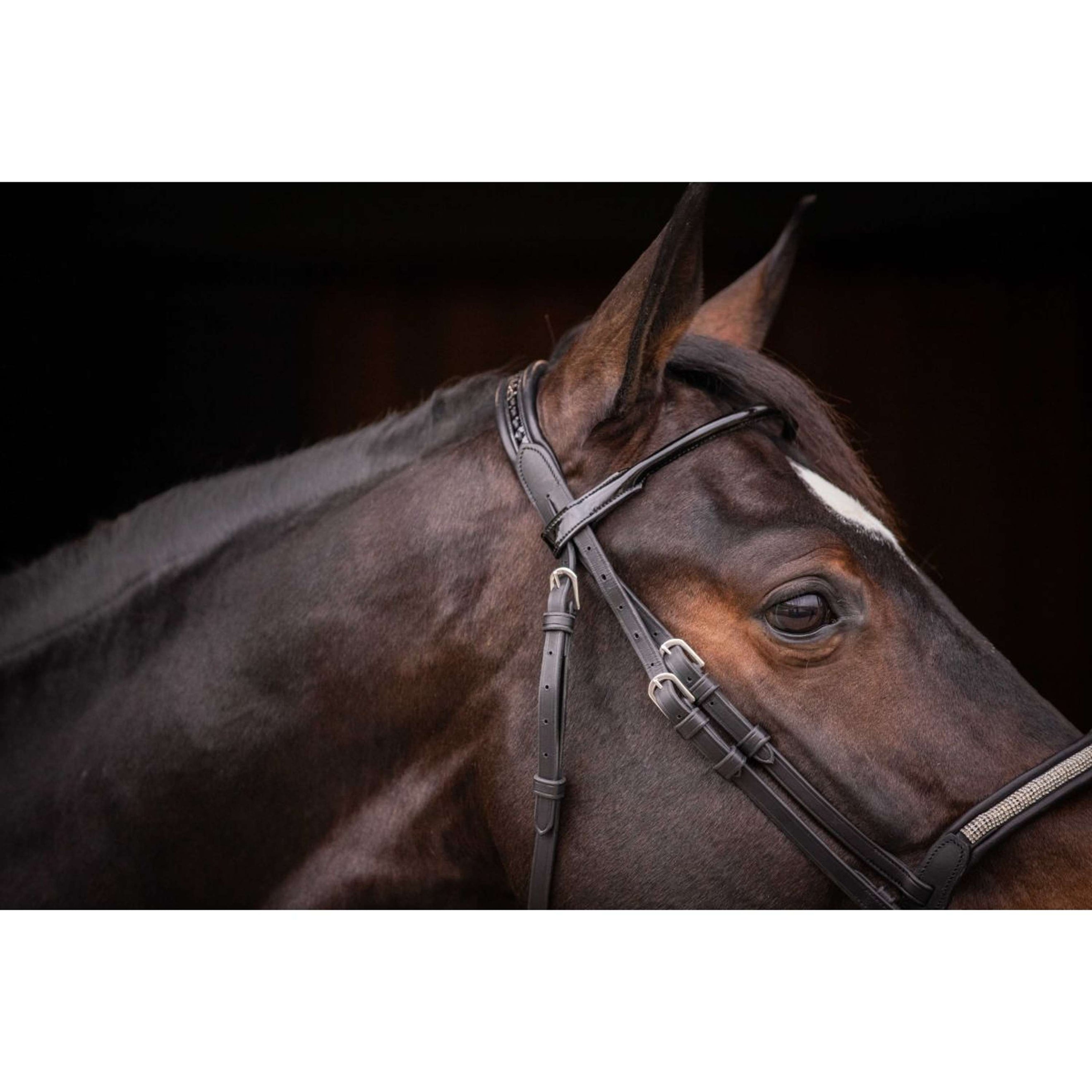 Pénélope Bridle Symphonie Black