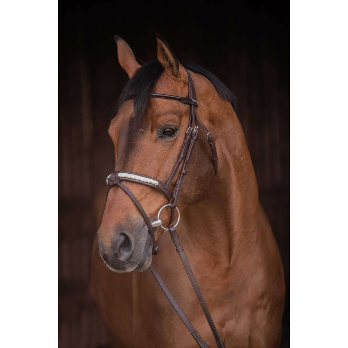 Pénélope Bridle Symphonie Havana