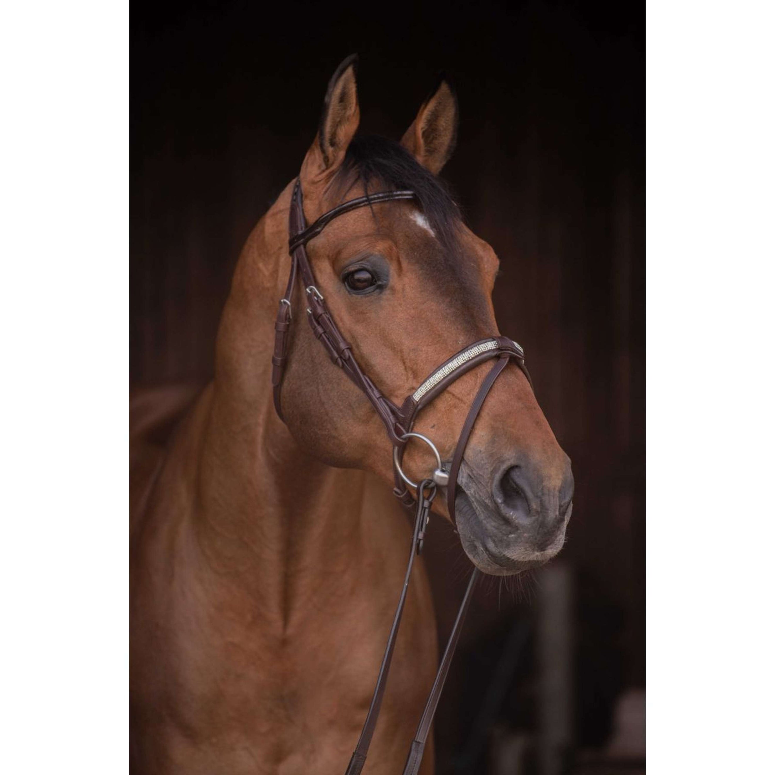 Pénélope Bridle Symphonie Havana