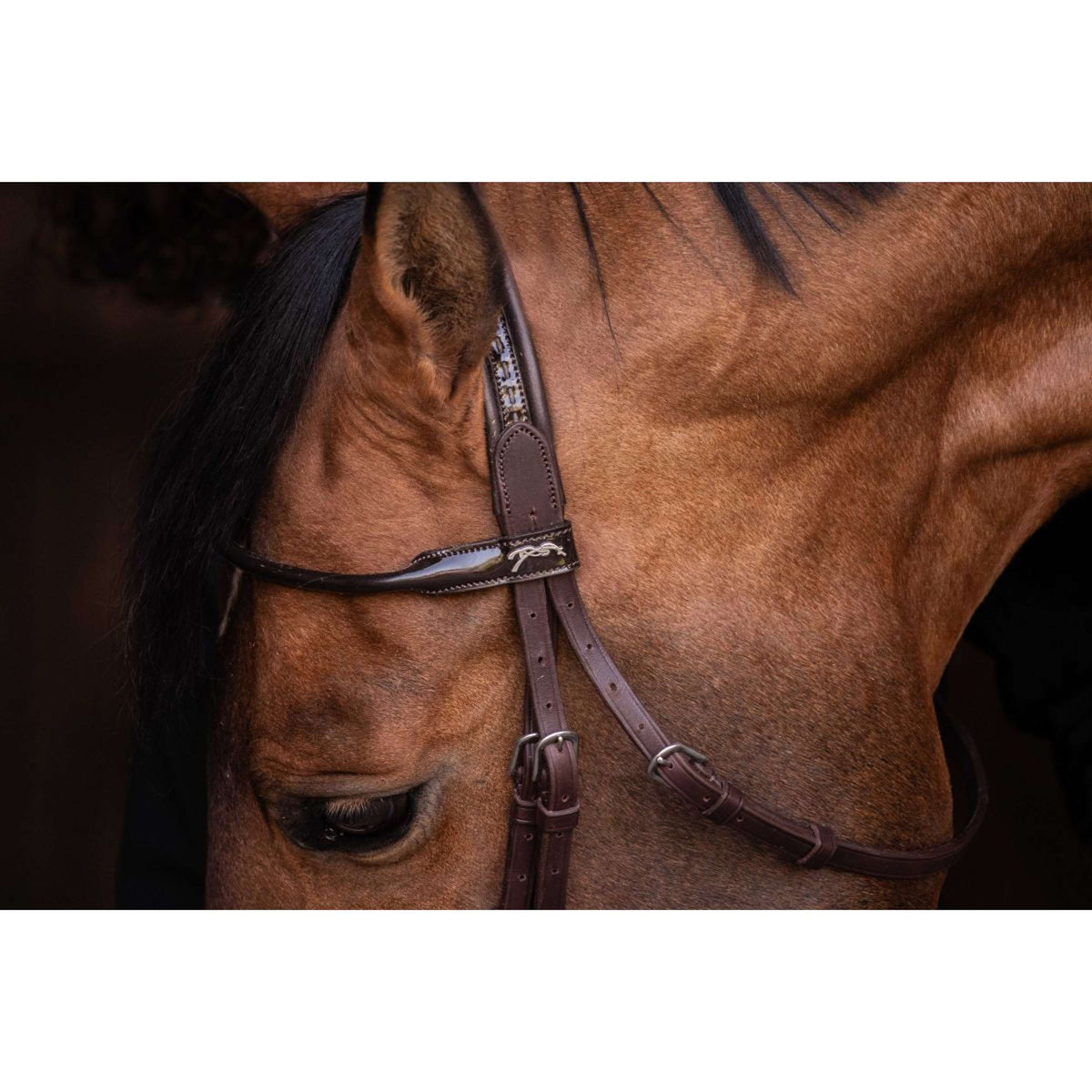 Pénélope Bridle Symphonie Havana