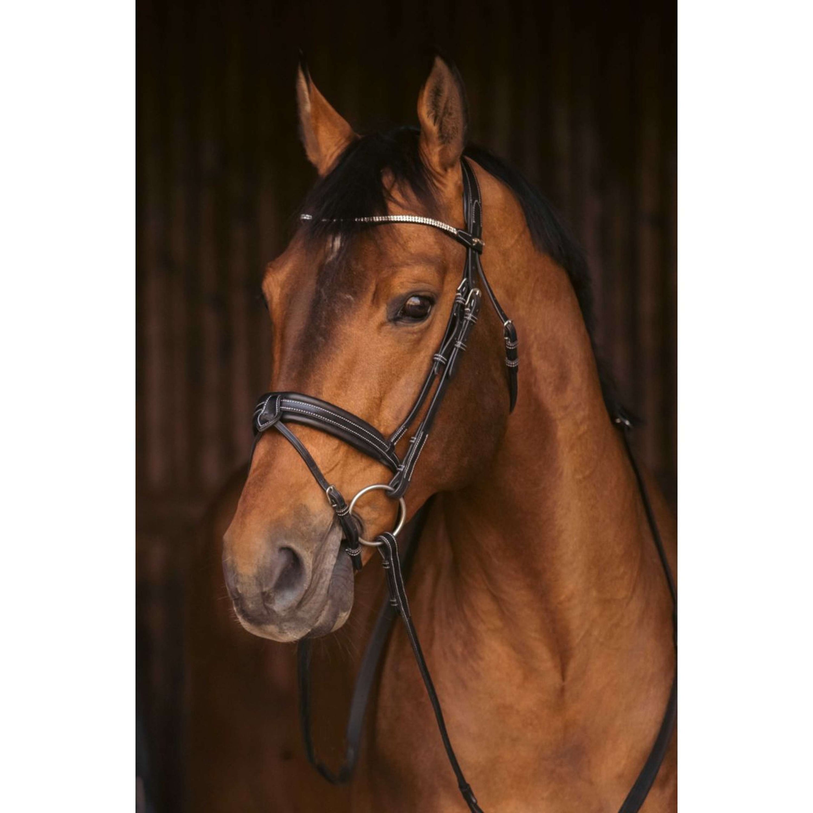 Pénélope Bridle Daily Strass Black