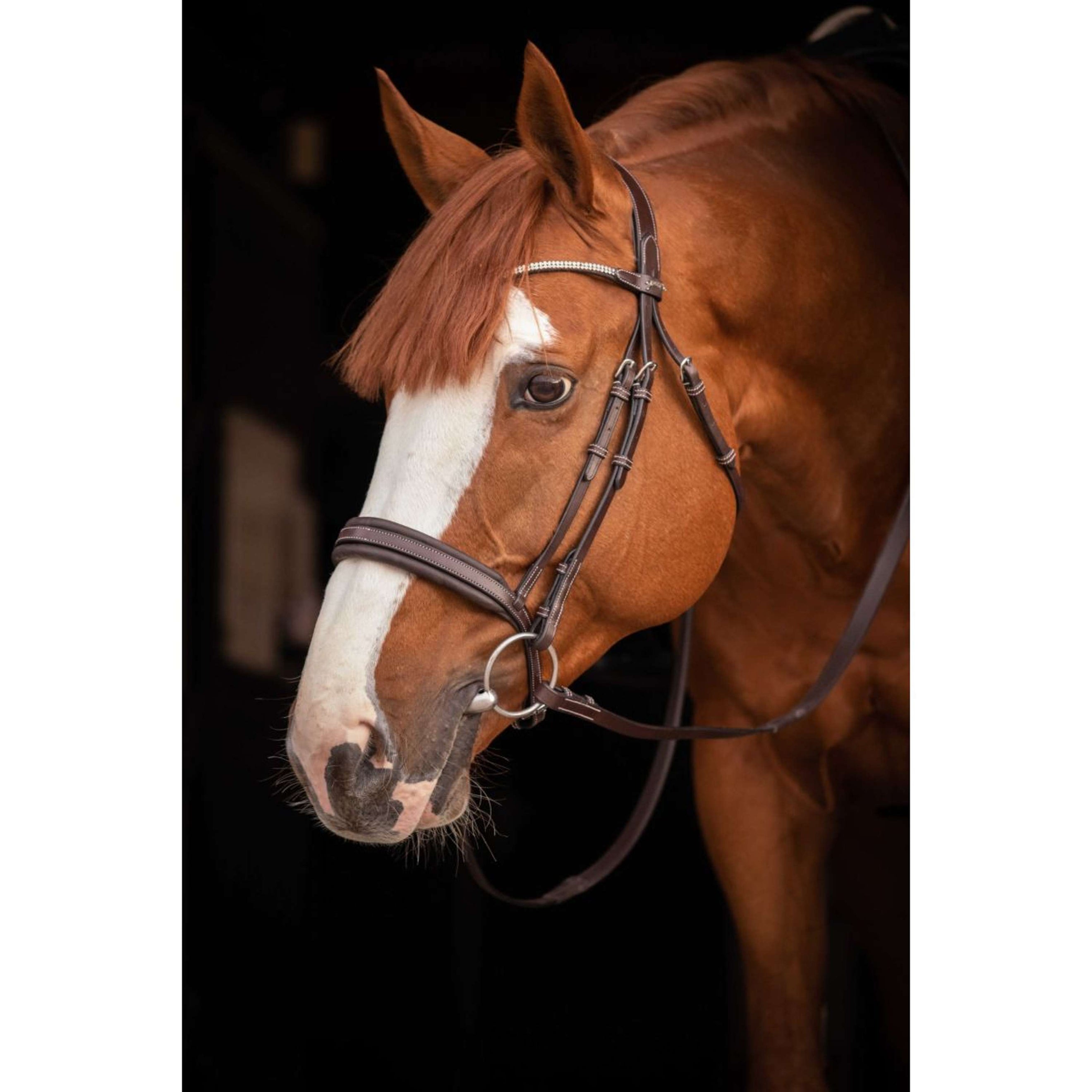 Pénélope Bridle Daily Strass Havana