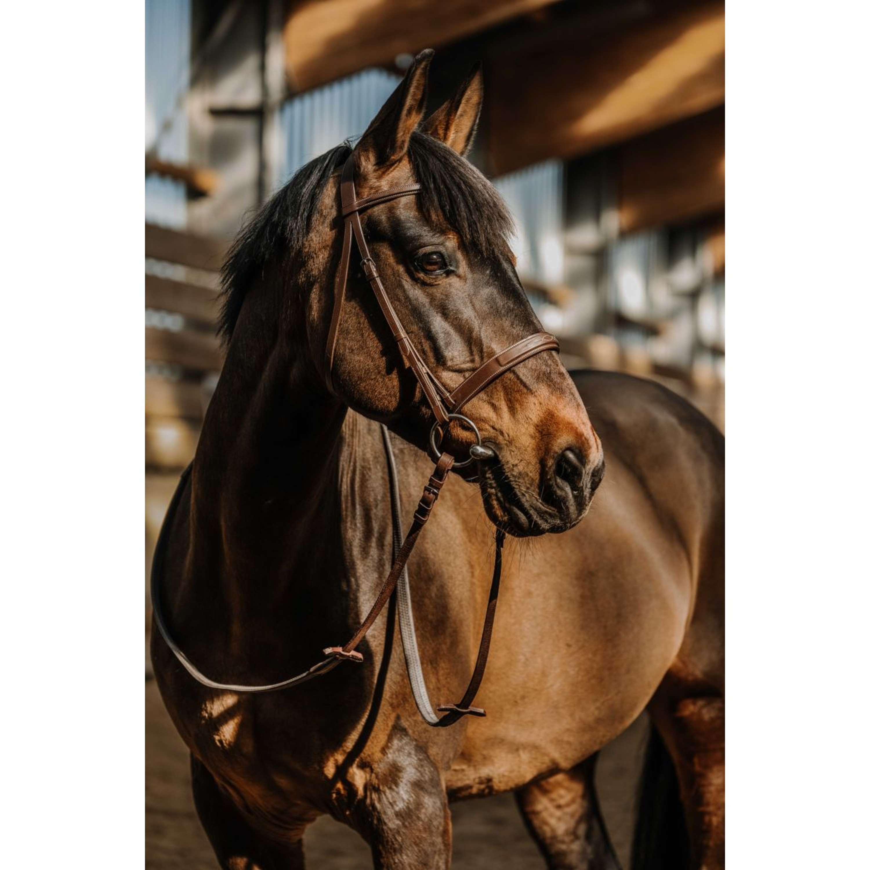 Norton Bridle Hunter Comfy Havana