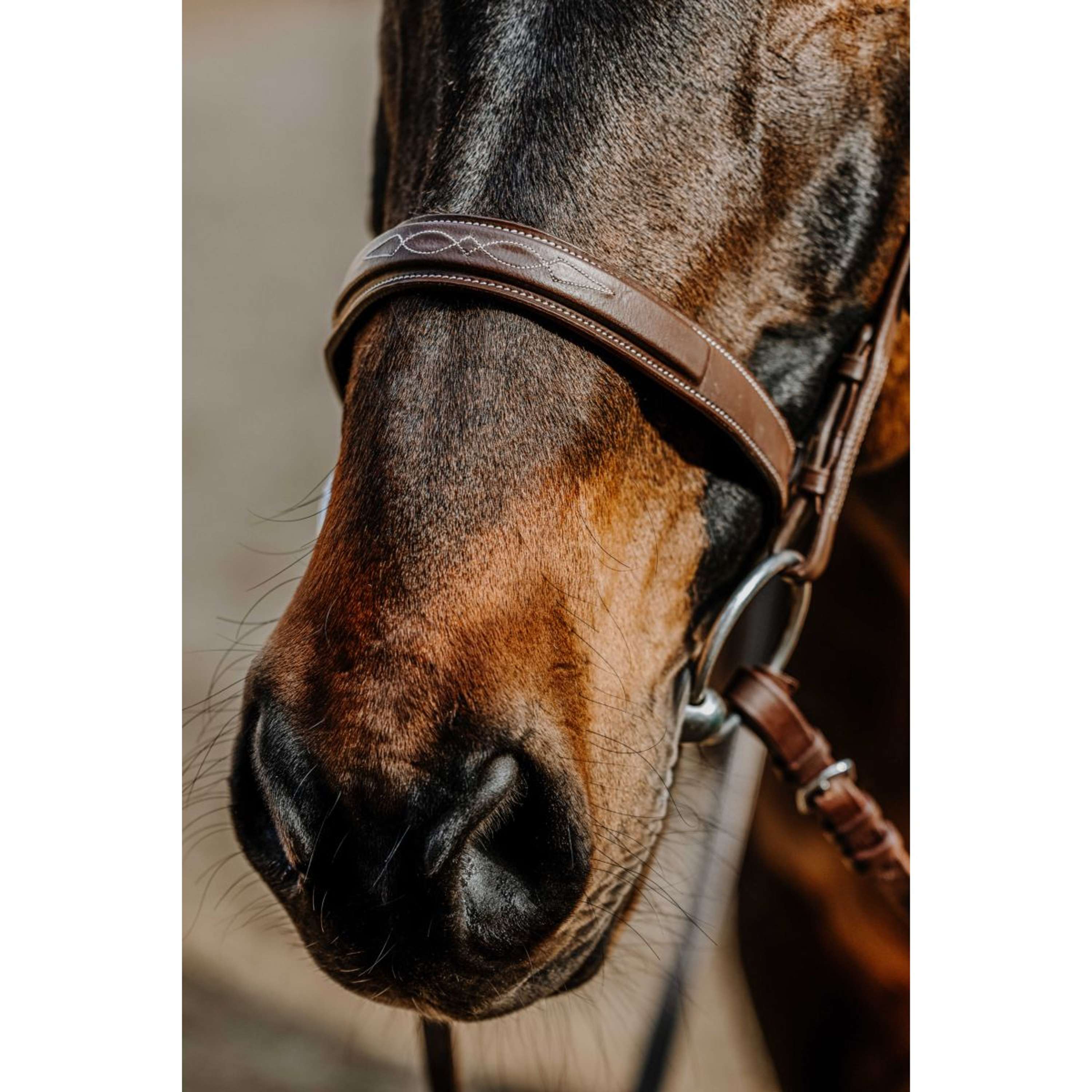 Norton Bridle Hunter Comfy Havana