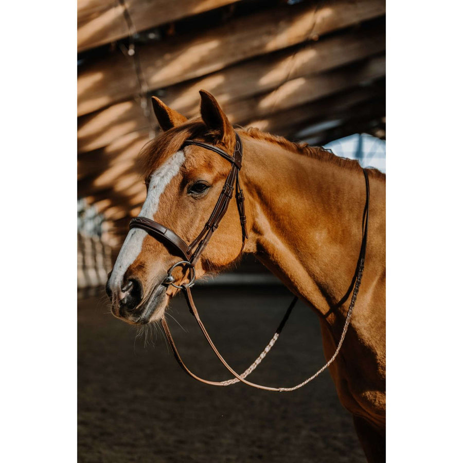 Norton Bridle Hunter Fancy Havana