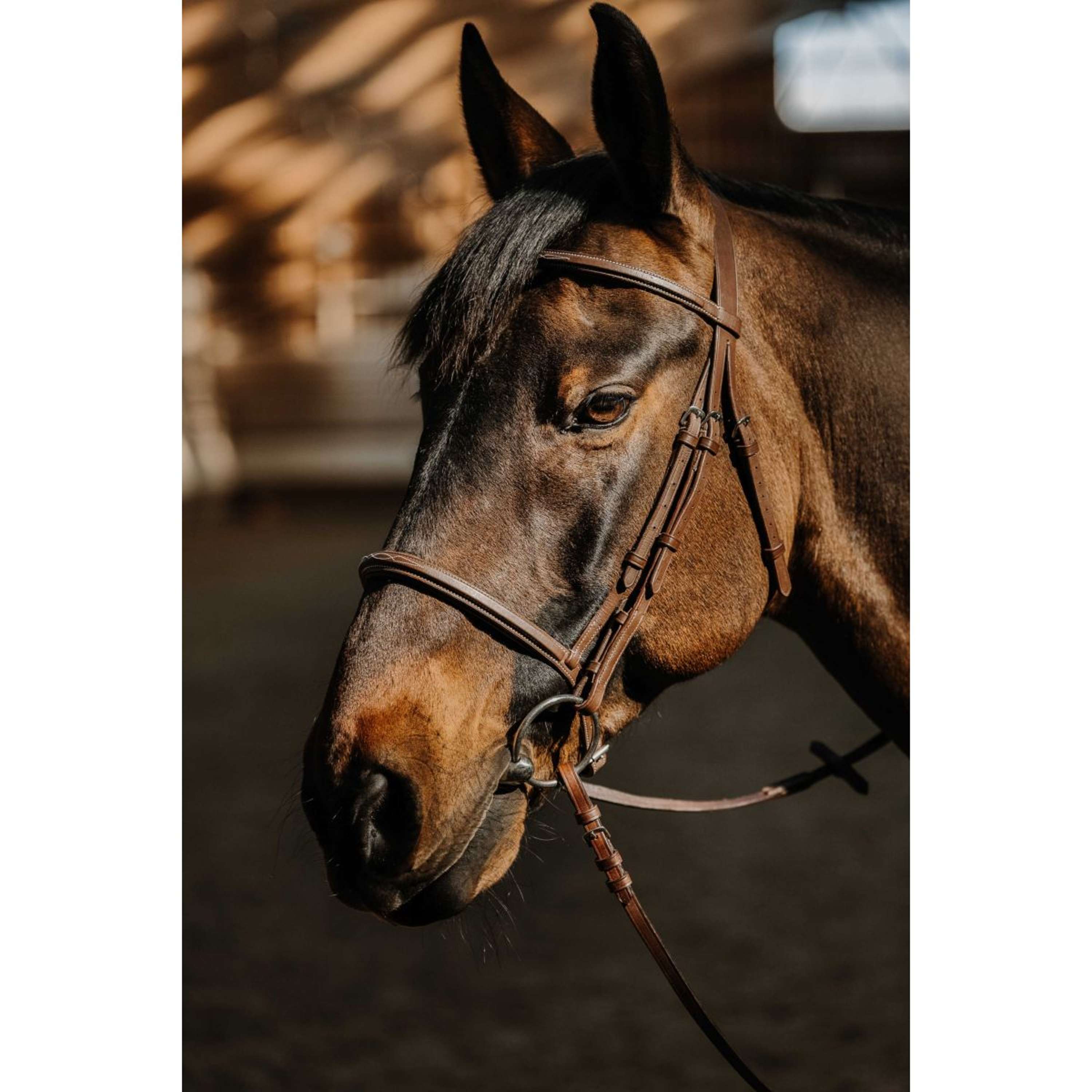 Norton Bridle Hunter Soft Havana