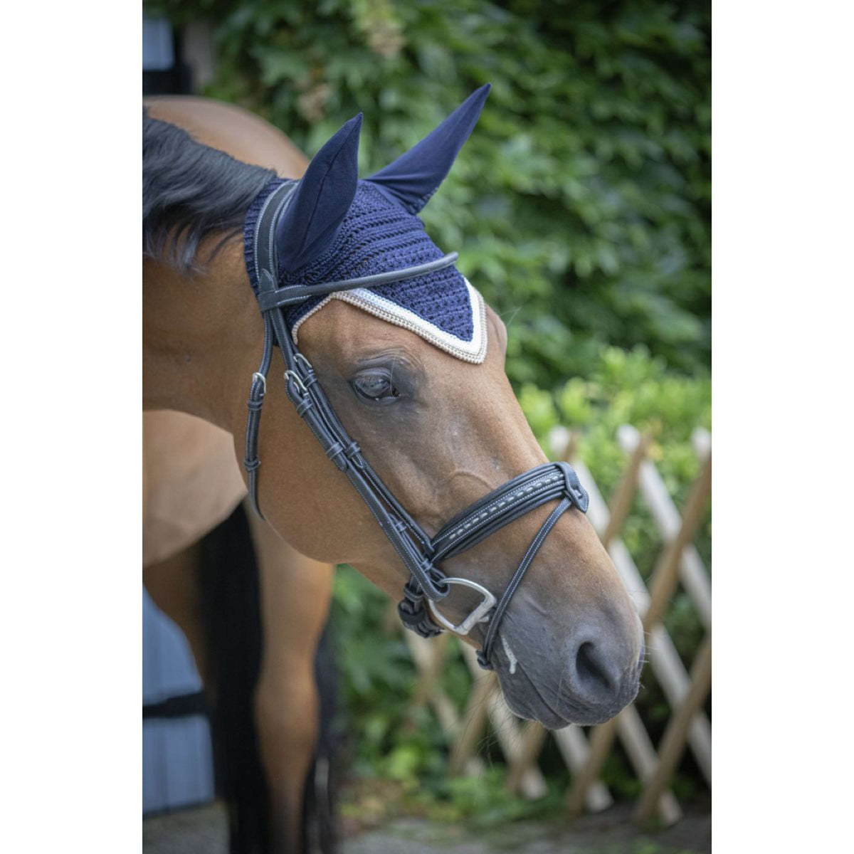 Paddock Ear Bonnet Origine Navy