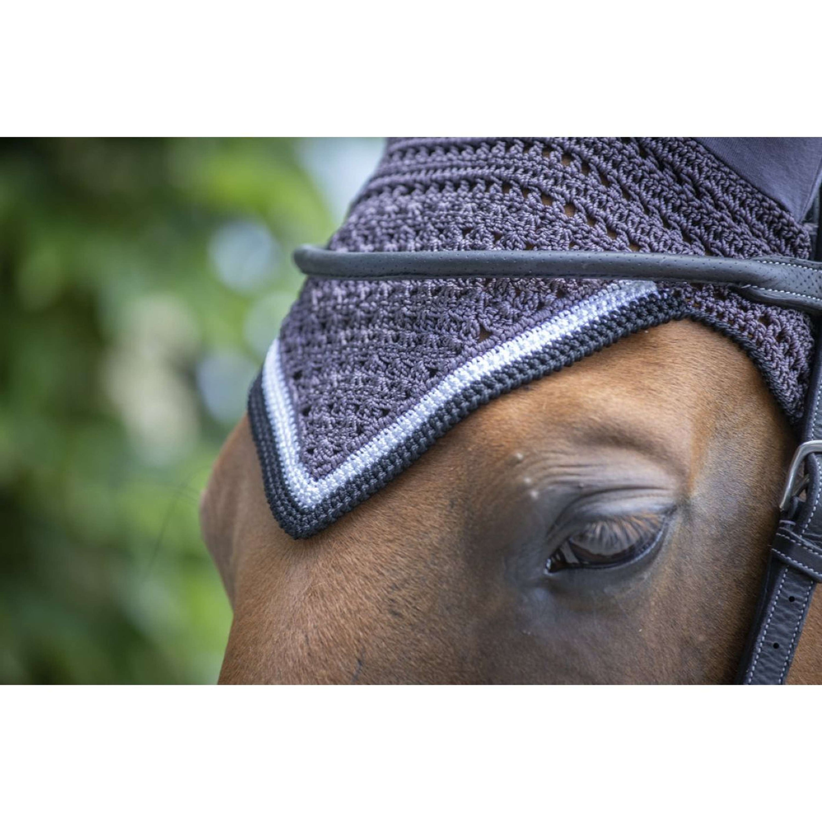 Paddock Ear Bonnet Origine DarkGrey