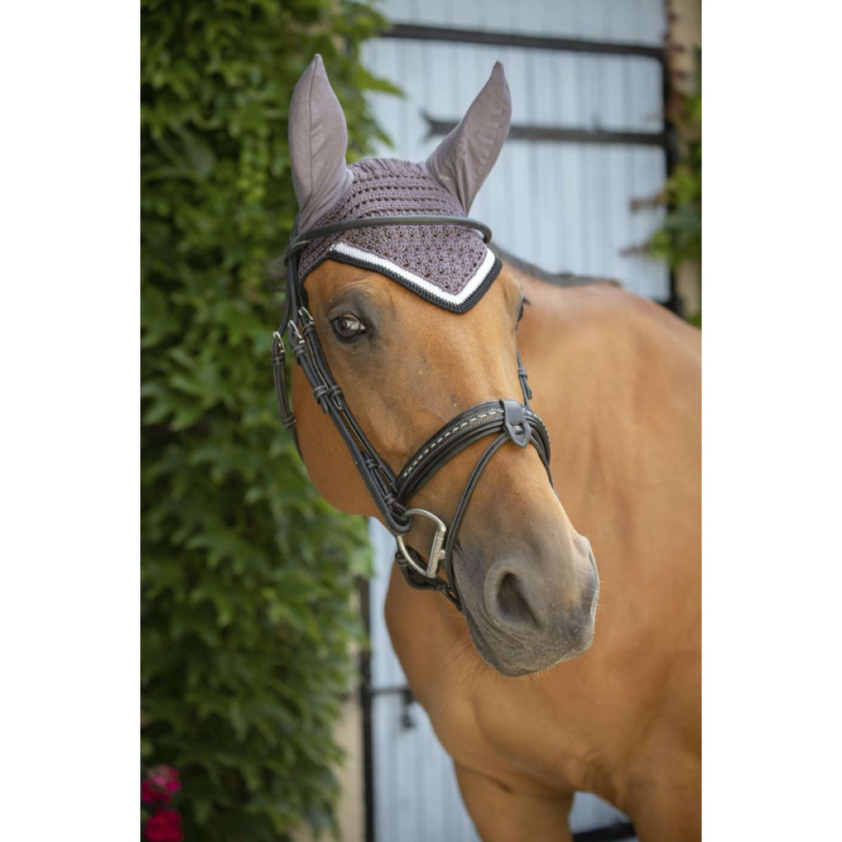 Paddock Ear Bonnet Origine DarkGrey