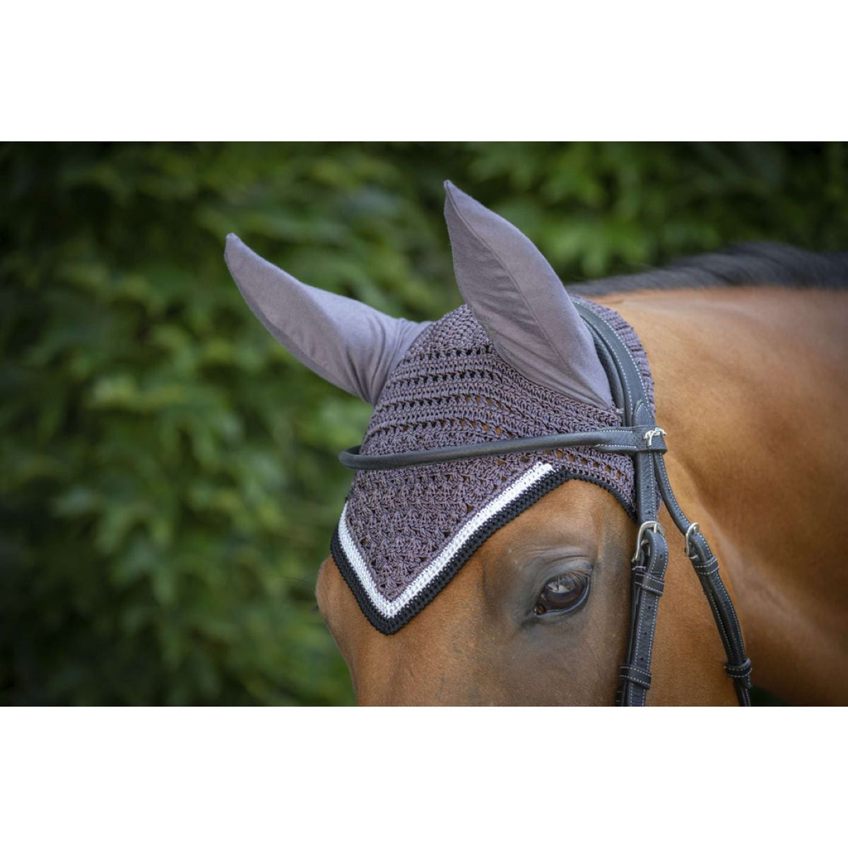 Paddock Ear Bonnet Origine DarkGrey