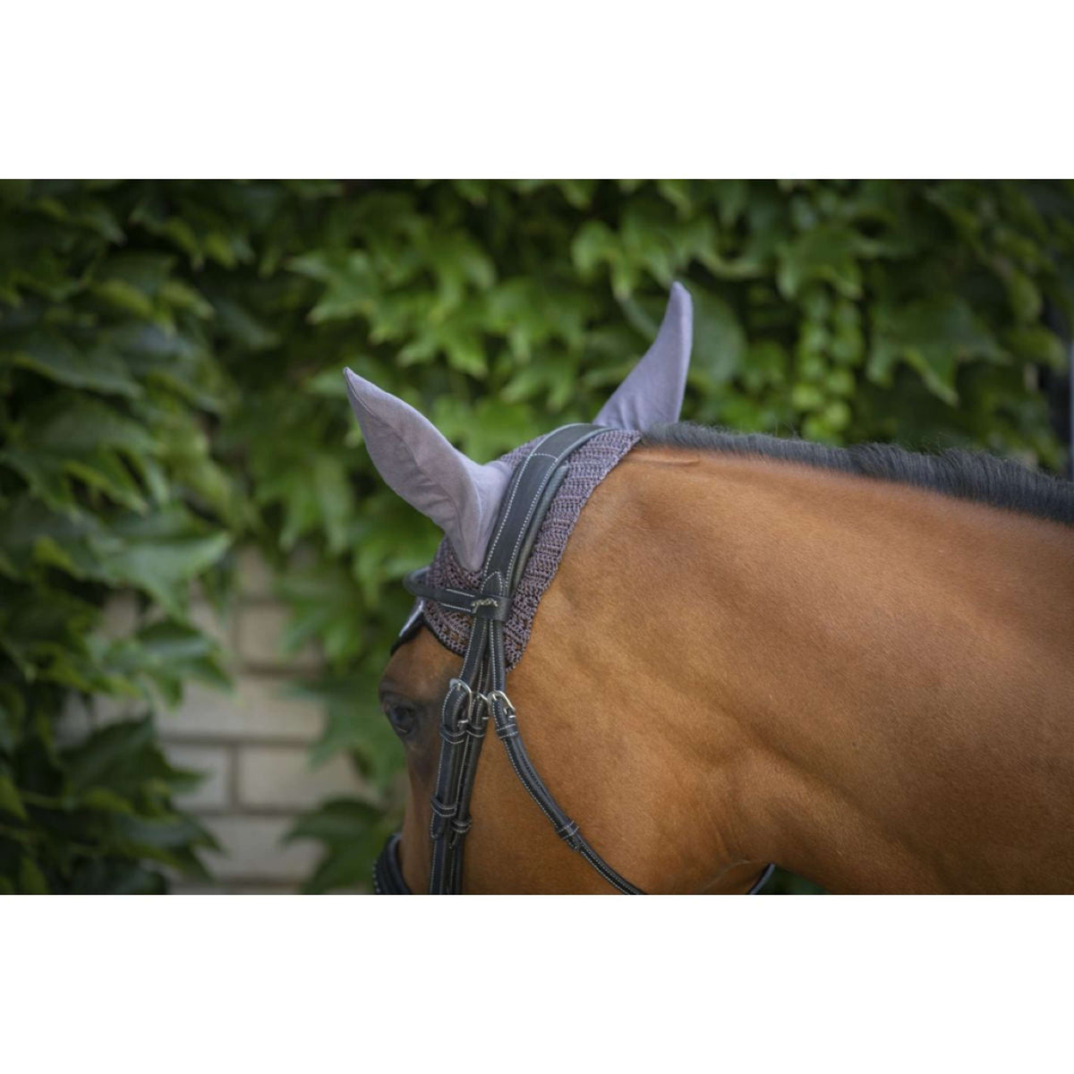 Paddock Ear Bonnet Origine DarkGrey