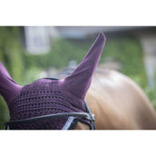 Paddock Ear Bonnet Origine Plum