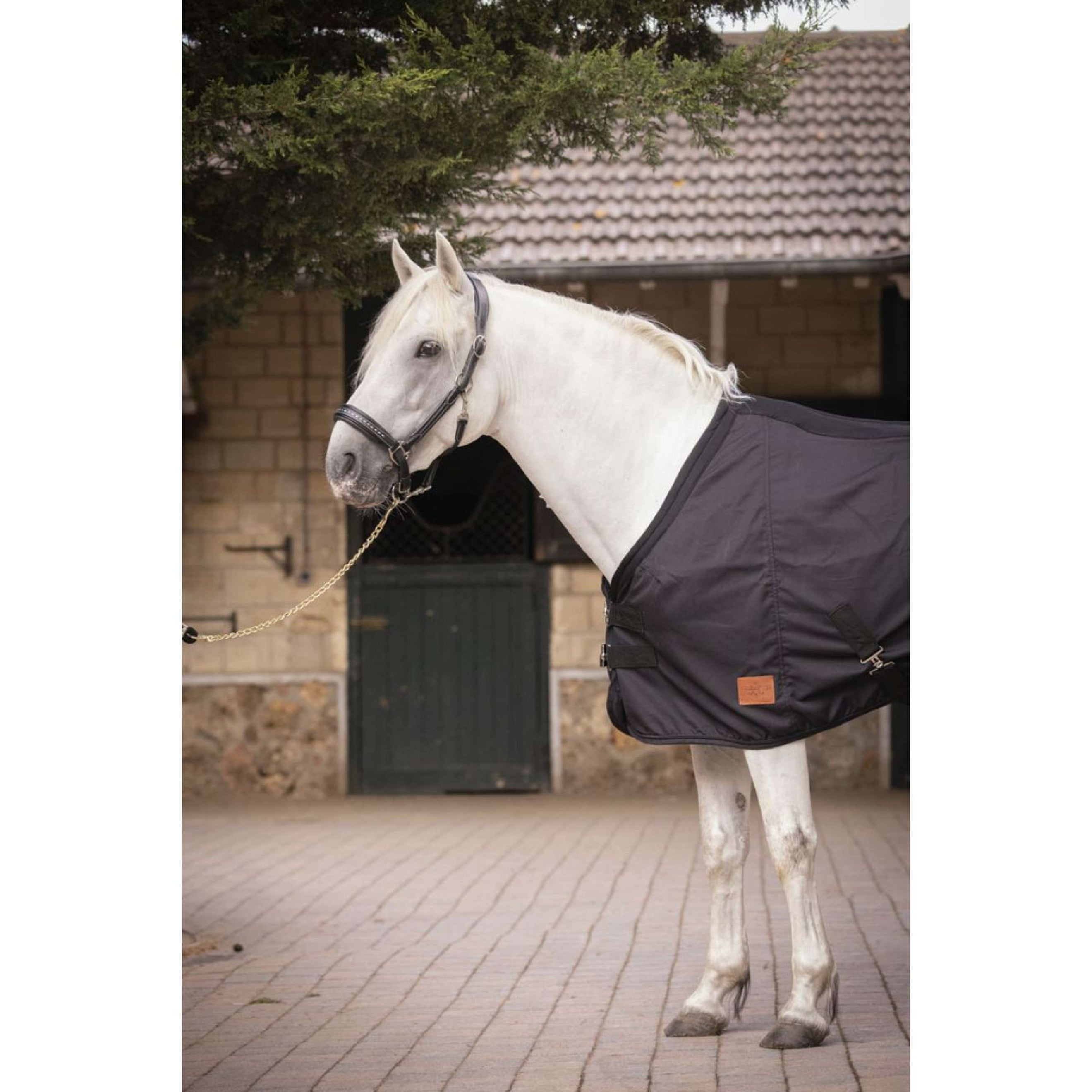 Paddock Rug Mesh Black