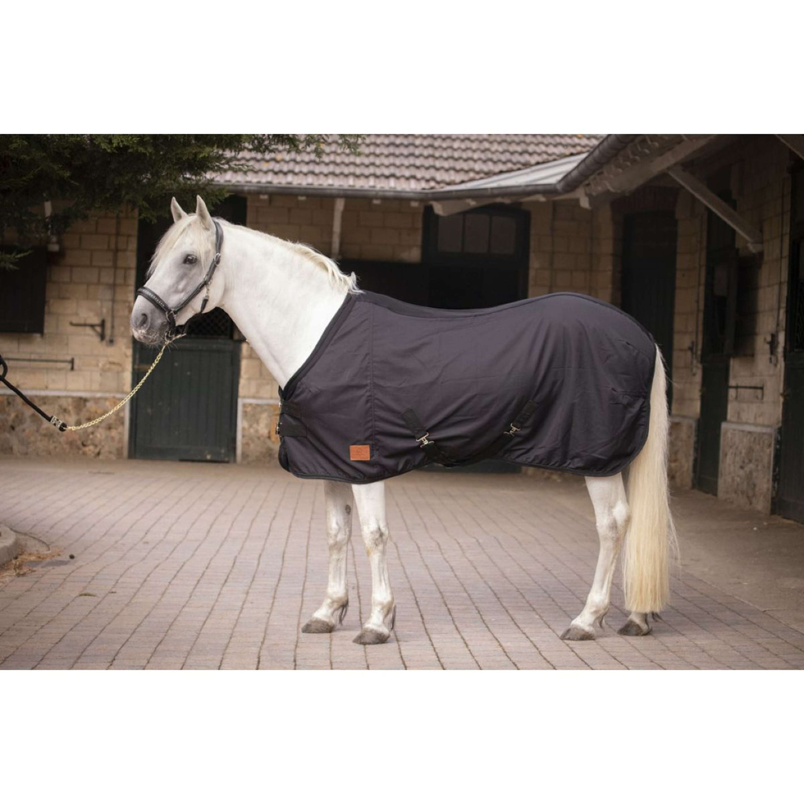 Paddock Rug Mesh Black