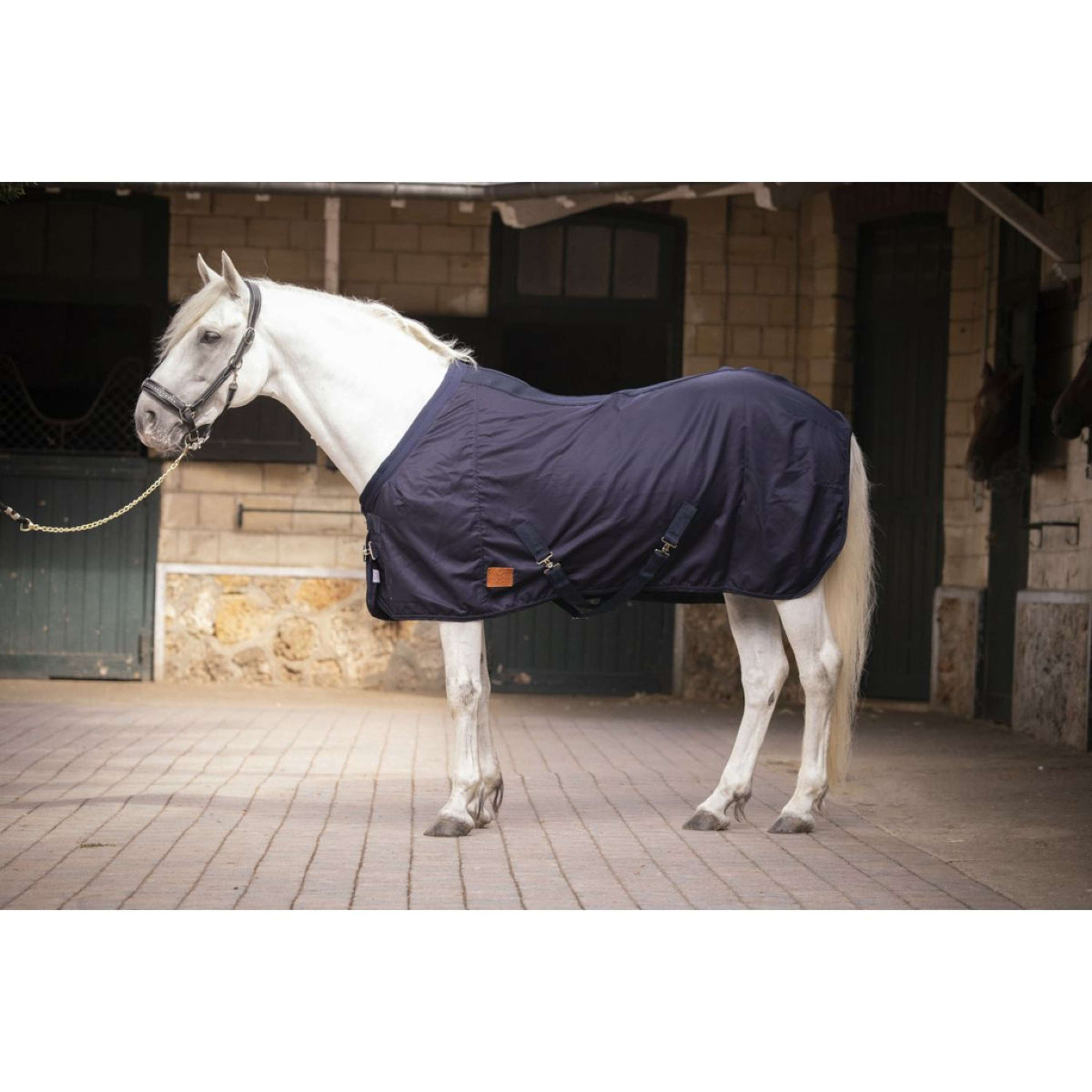 Paddock Rug Mesh Navy