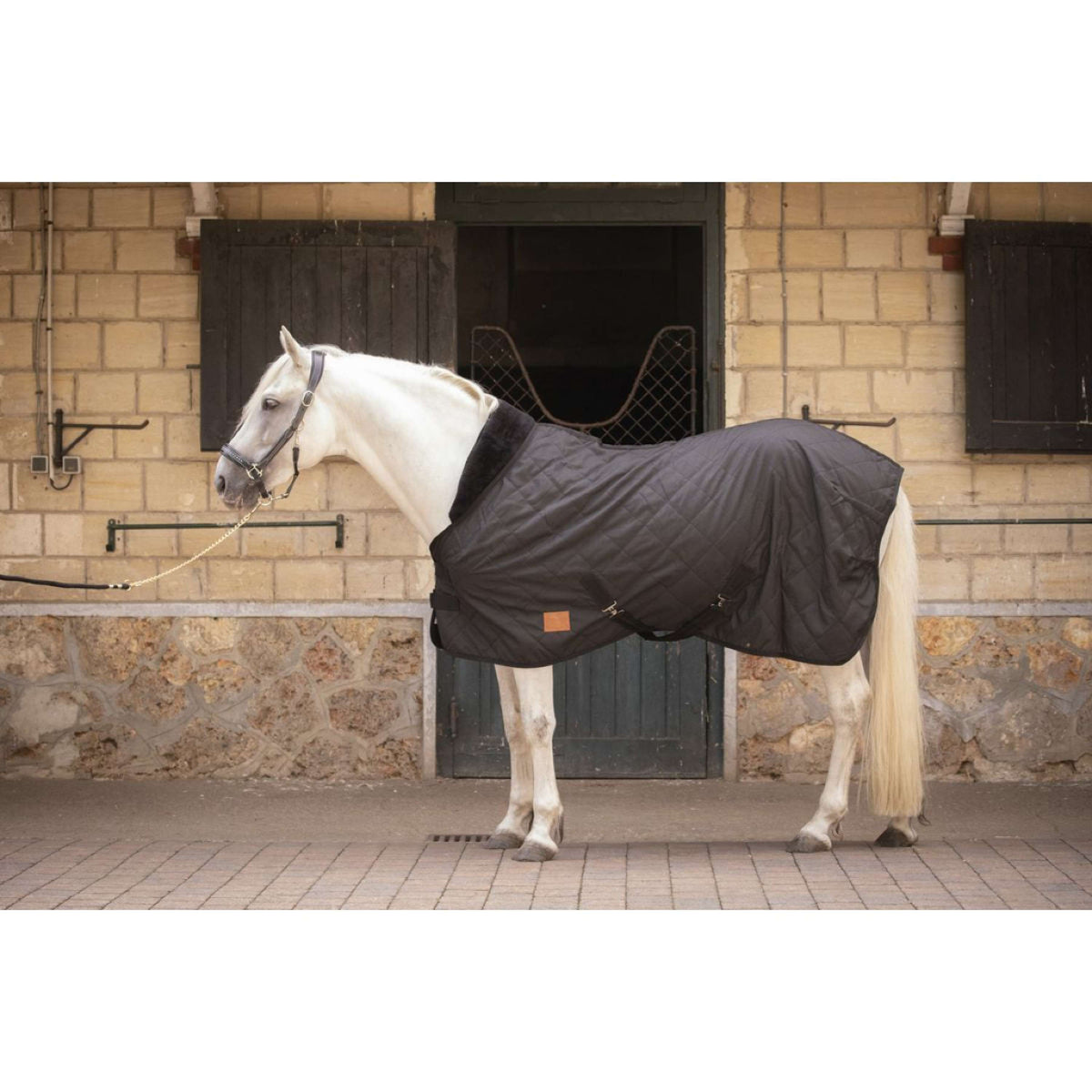 Paddock Rug Rist 50g Black